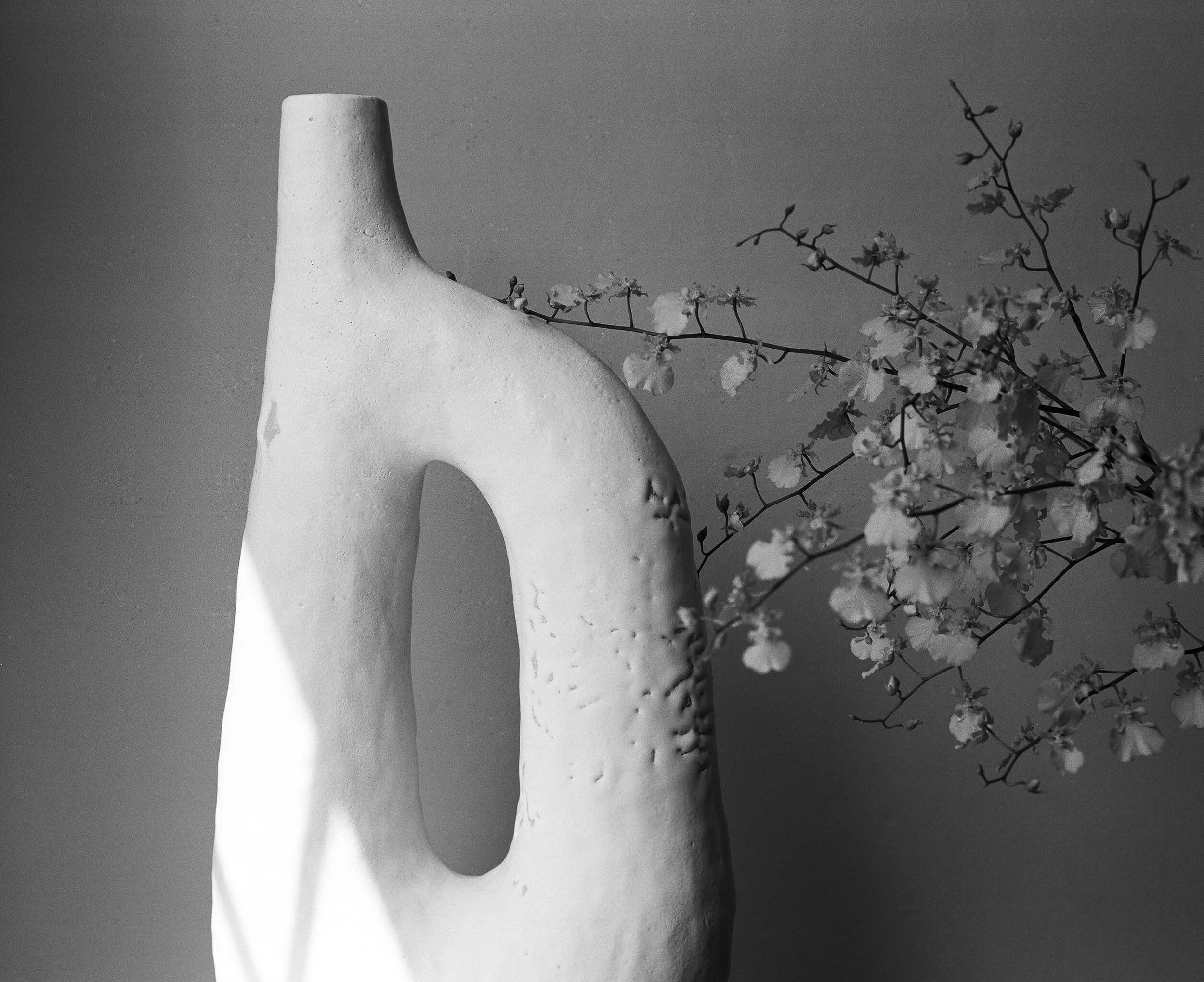 Embrace, Kate Crassweller, 2019