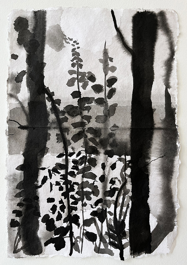 Sunset at Traunsee, ink study 1, 2025Ink on paper36 x 25 cm