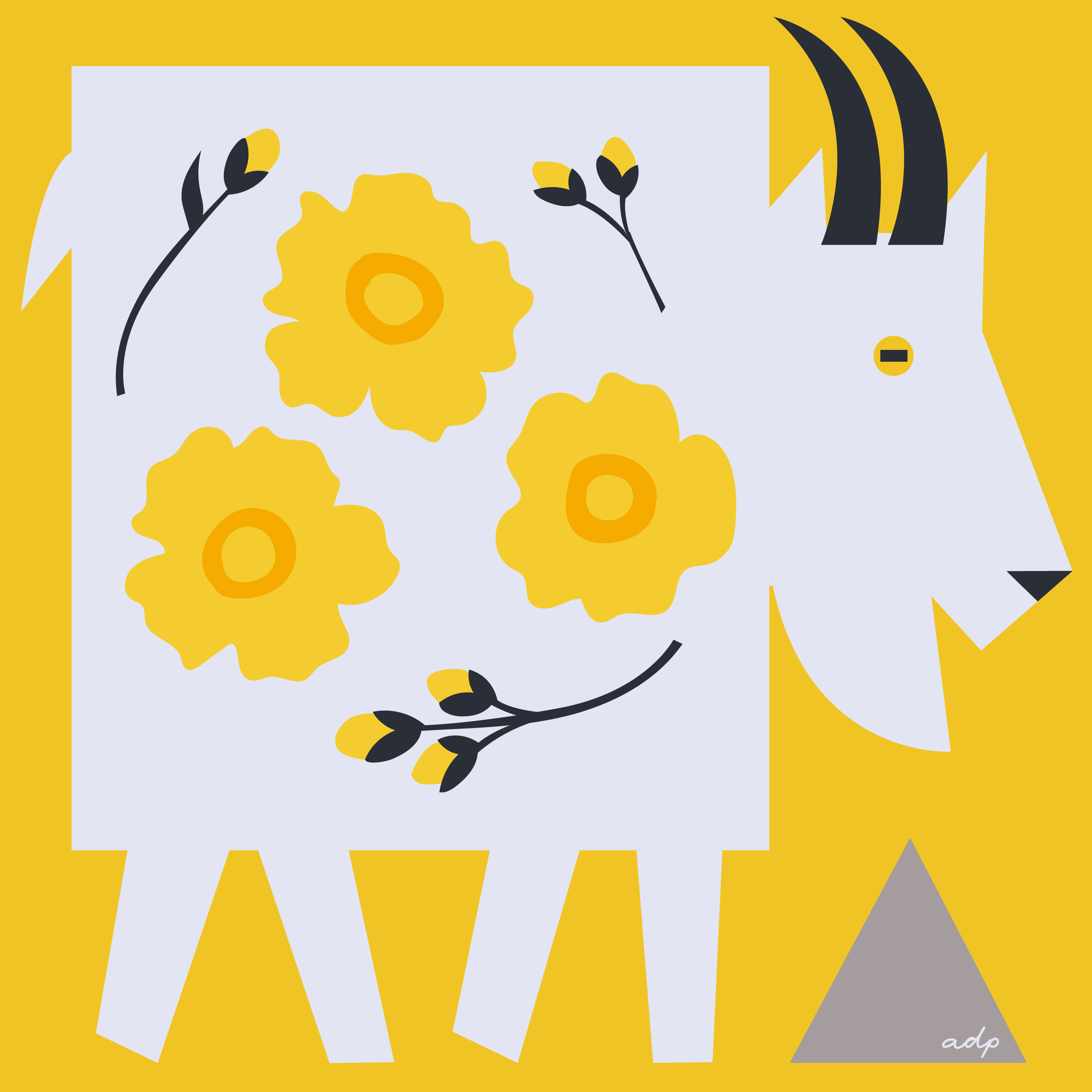 Mountain goats in a field of buttercups