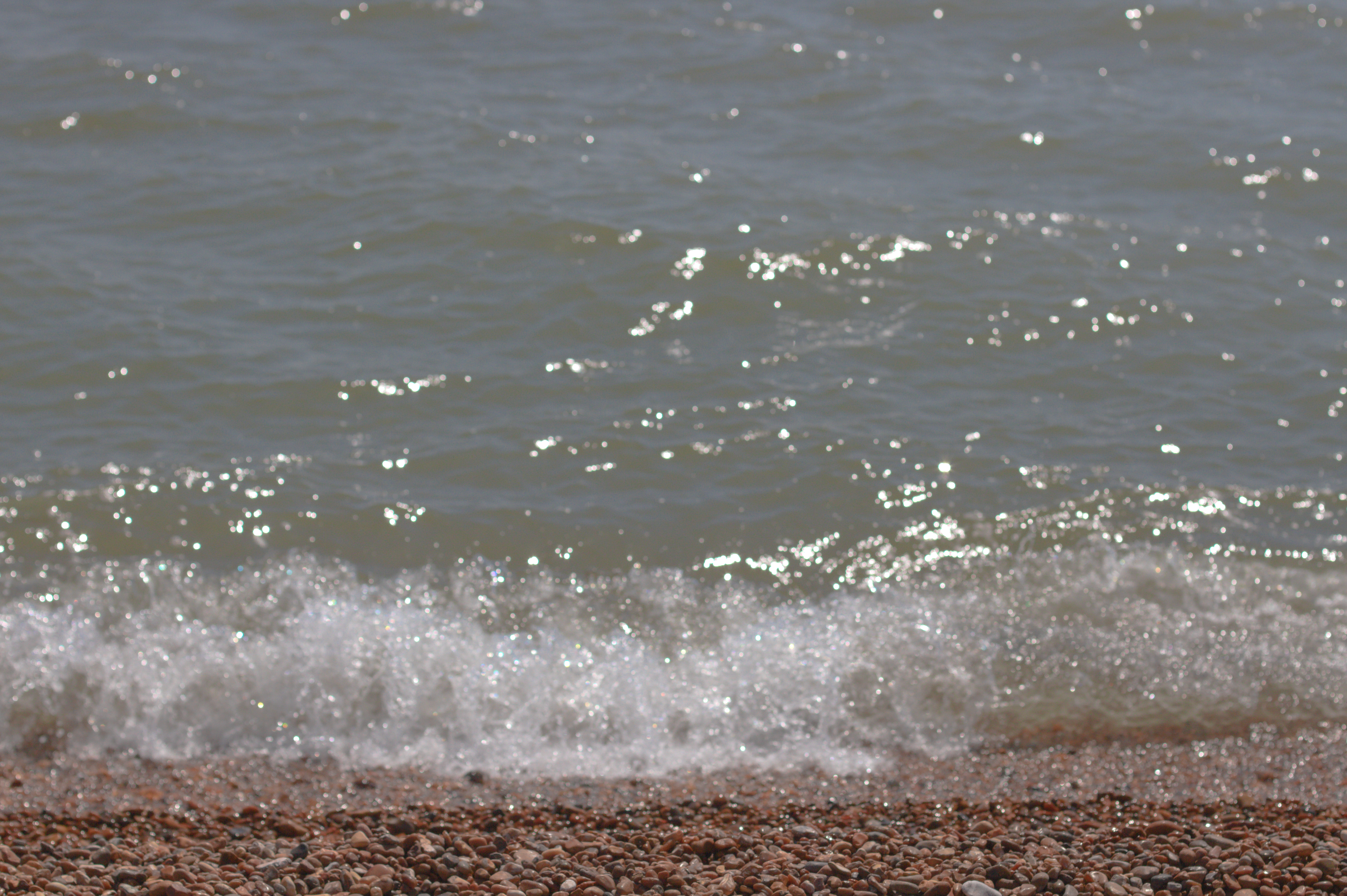 They’re not quite crying—they’re almost laughing