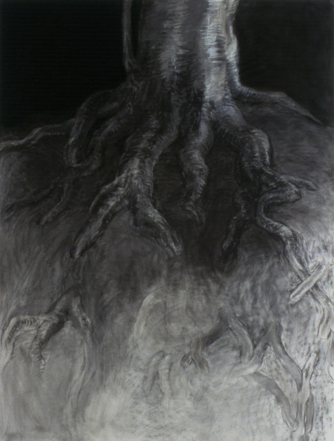 Elements - Wood Earth 2, 2006, Charcoal on paper, 50 x 38 in.