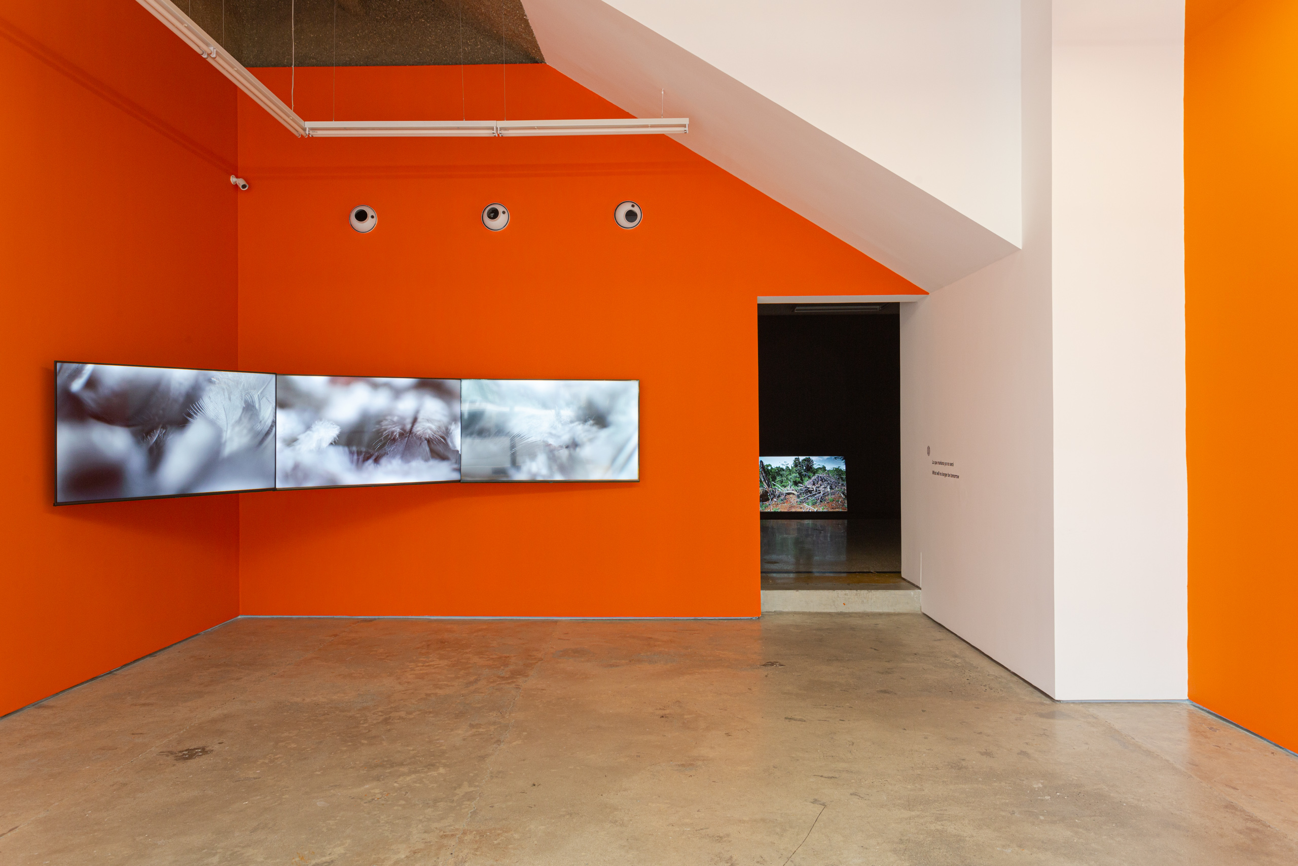 DONNA CONLON : Lo que mañana ya no será / What will no longer be tomorrow