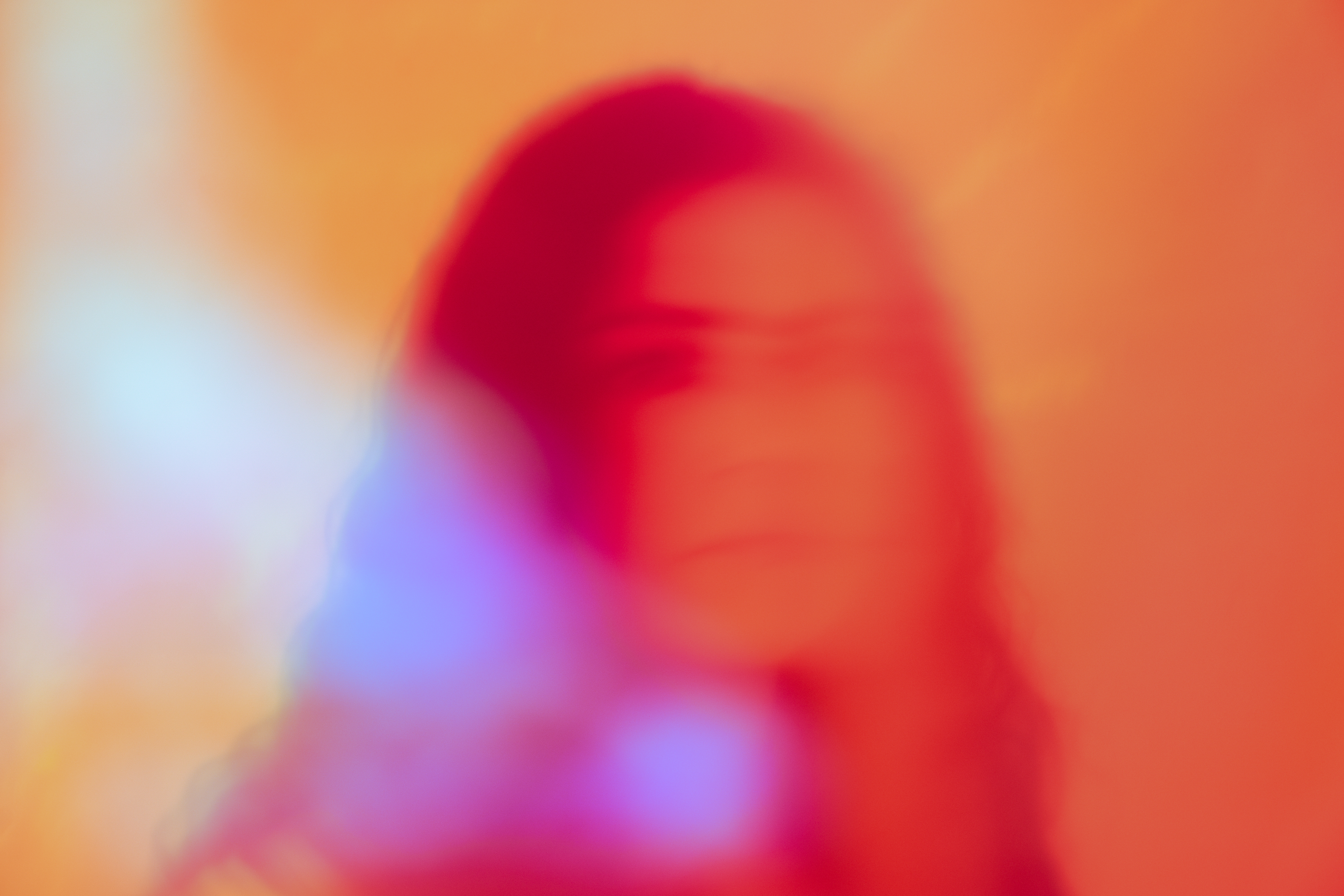 Heaven in Hiding book cover