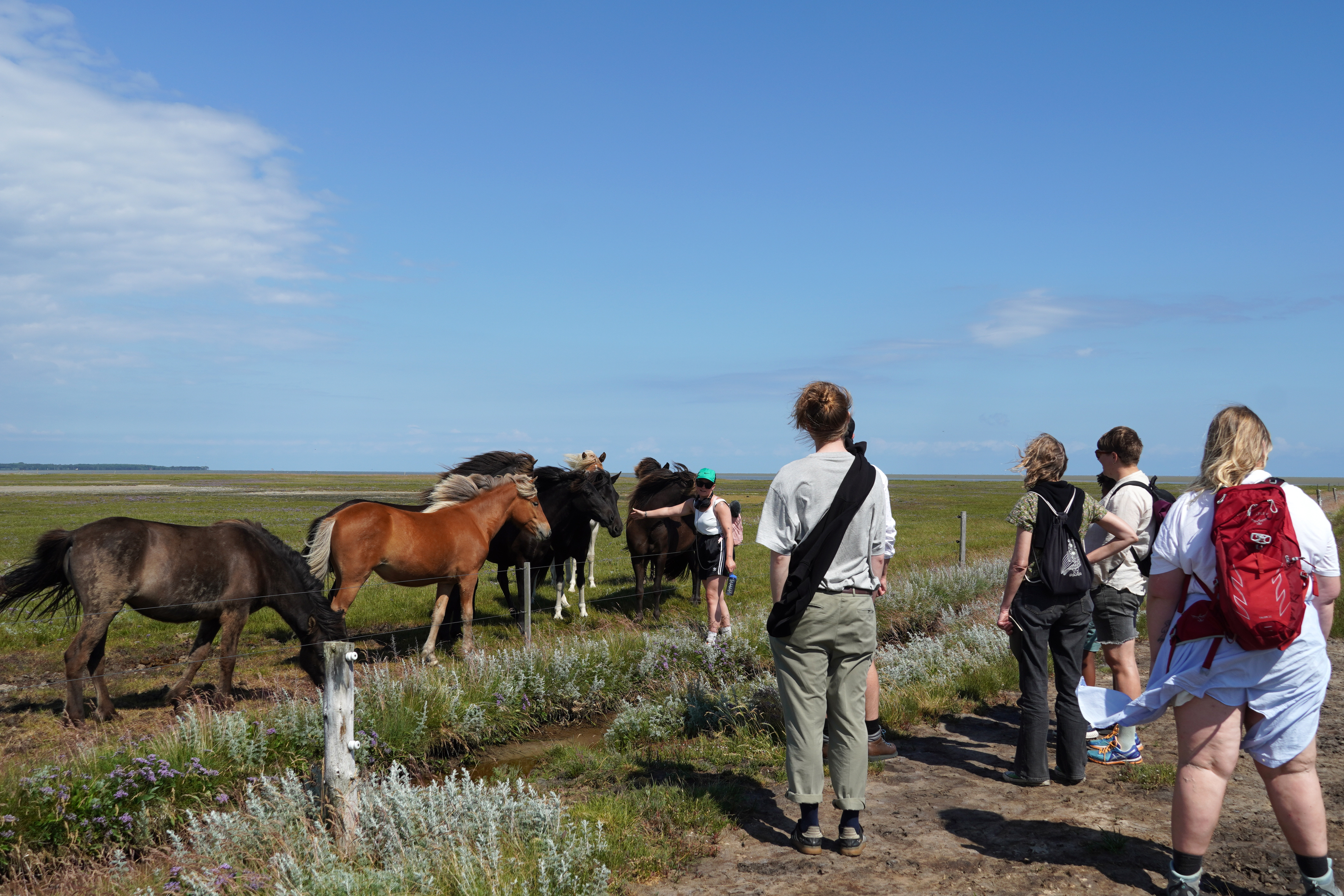 Documentation of "7 Walks: (Asger Jorn)" as part of the Summer School "Learning Through the Soles of our Feet" by Vermeir & Heiremans, Læsø, 2022 (photocredit: Rikke Ehlers Nilsson)