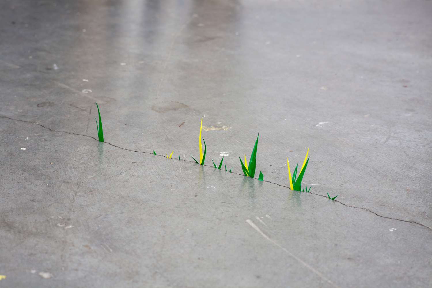 can't stop won't stop, photograph 2009