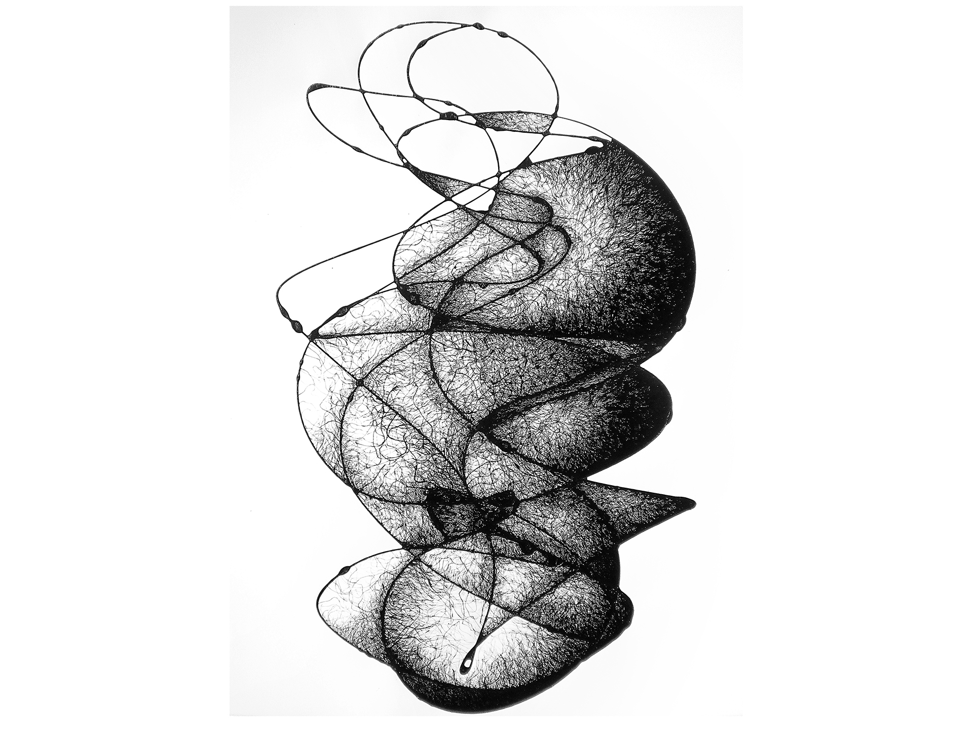 Algorithm#03 - zero point energy | 70x100 cm | ink-paper | 2009