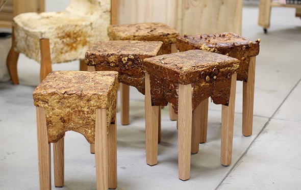 Philip Ross: Reishi Stools