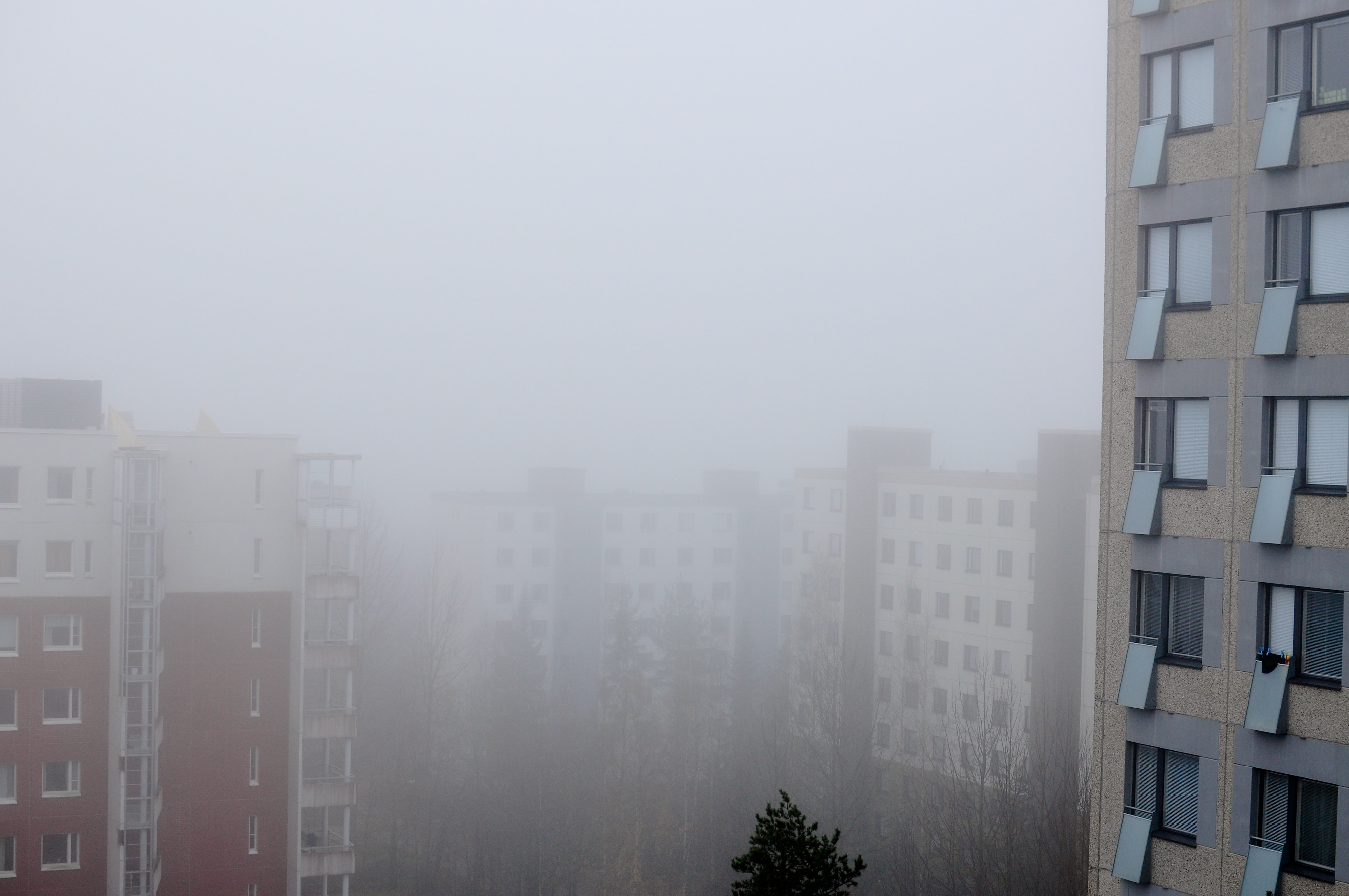 [cityscapes] shepherd's pie (Tampere)