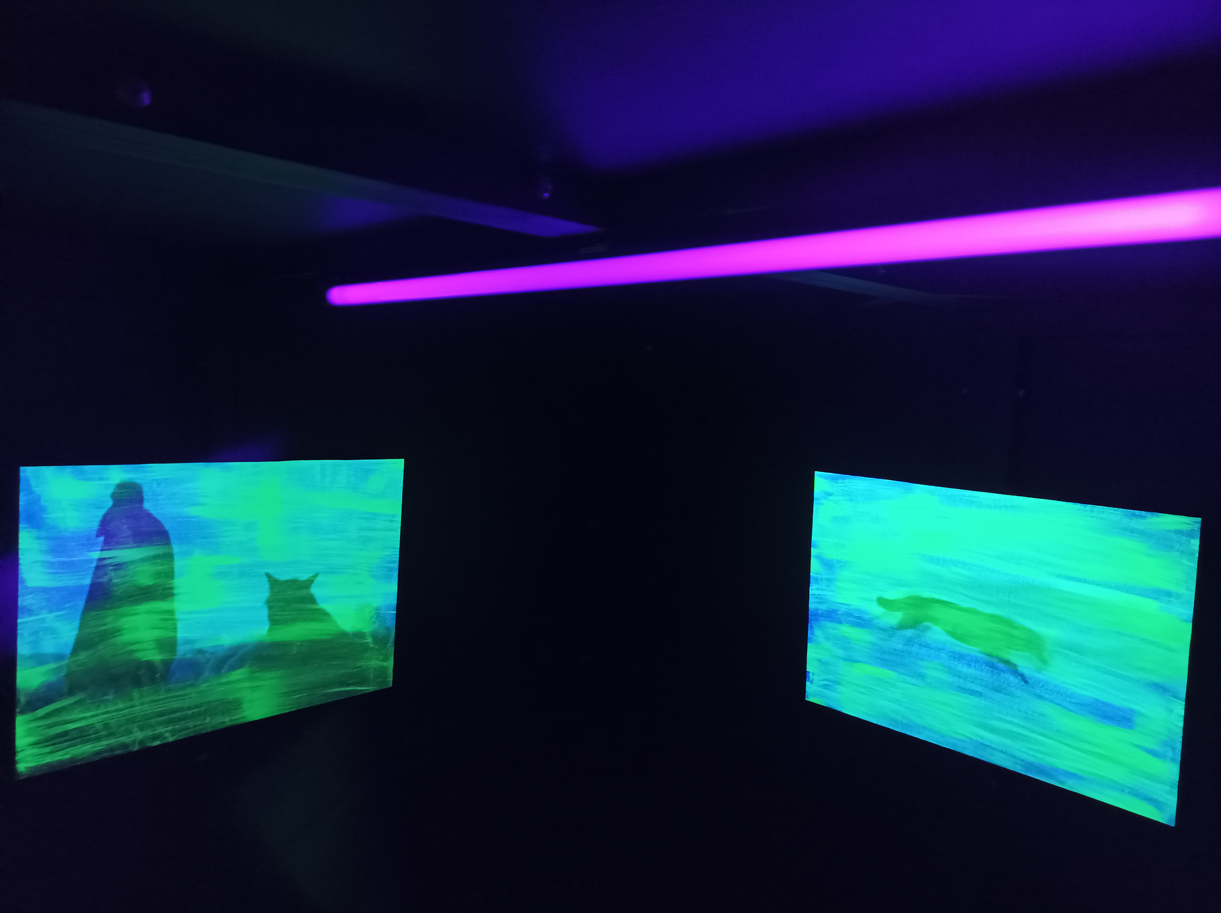 Espace Van Gogh, Arles, 2022 