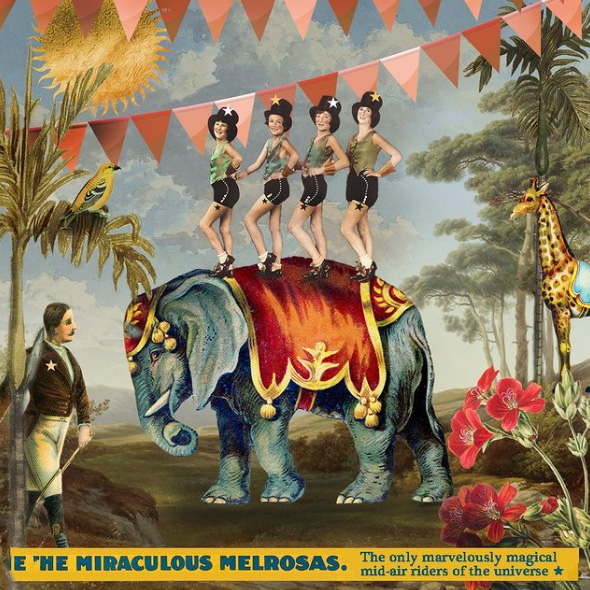 chokdi_instanthappiness