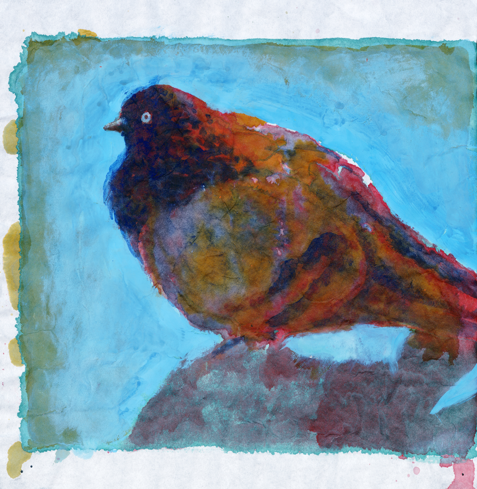 Pigeon 2 / 27 x 30 cm / ink and gouache on sumi paper