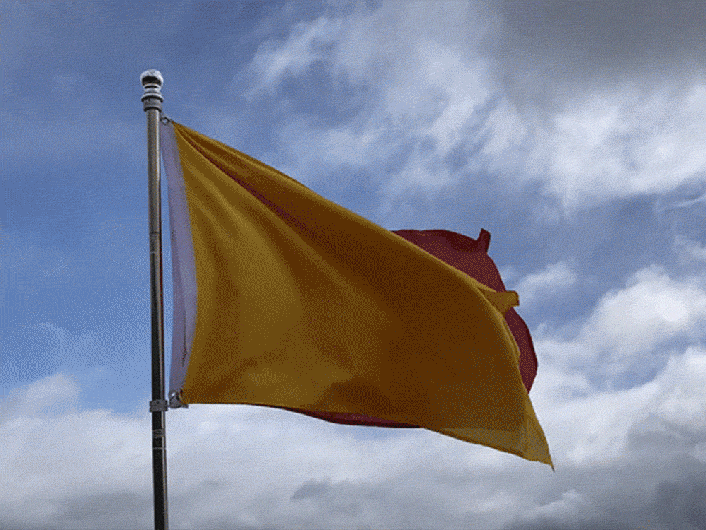  Separatist Flag2023Fabric, plastic and metal95 x 180 x 5 cmconceptual, object