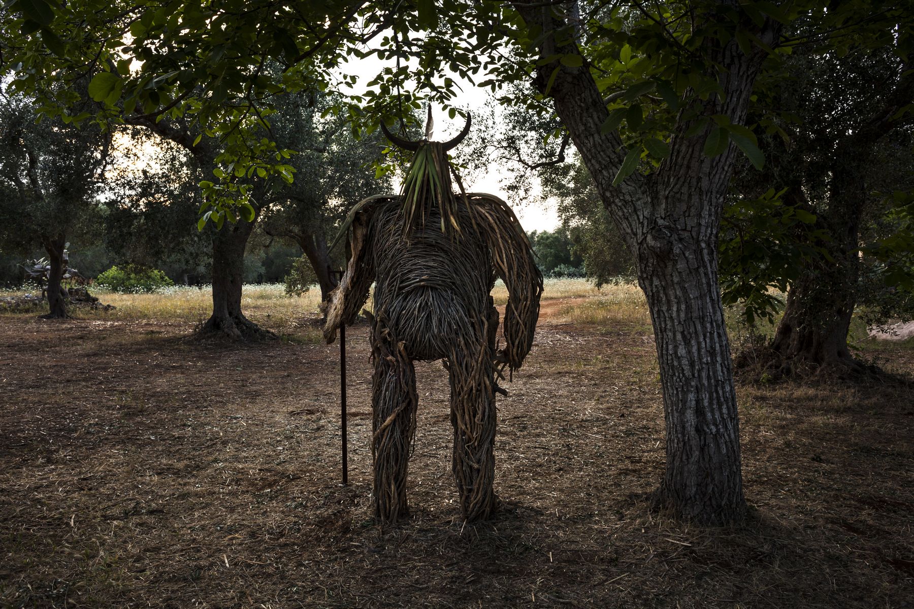 ph: Yacine Benseddik