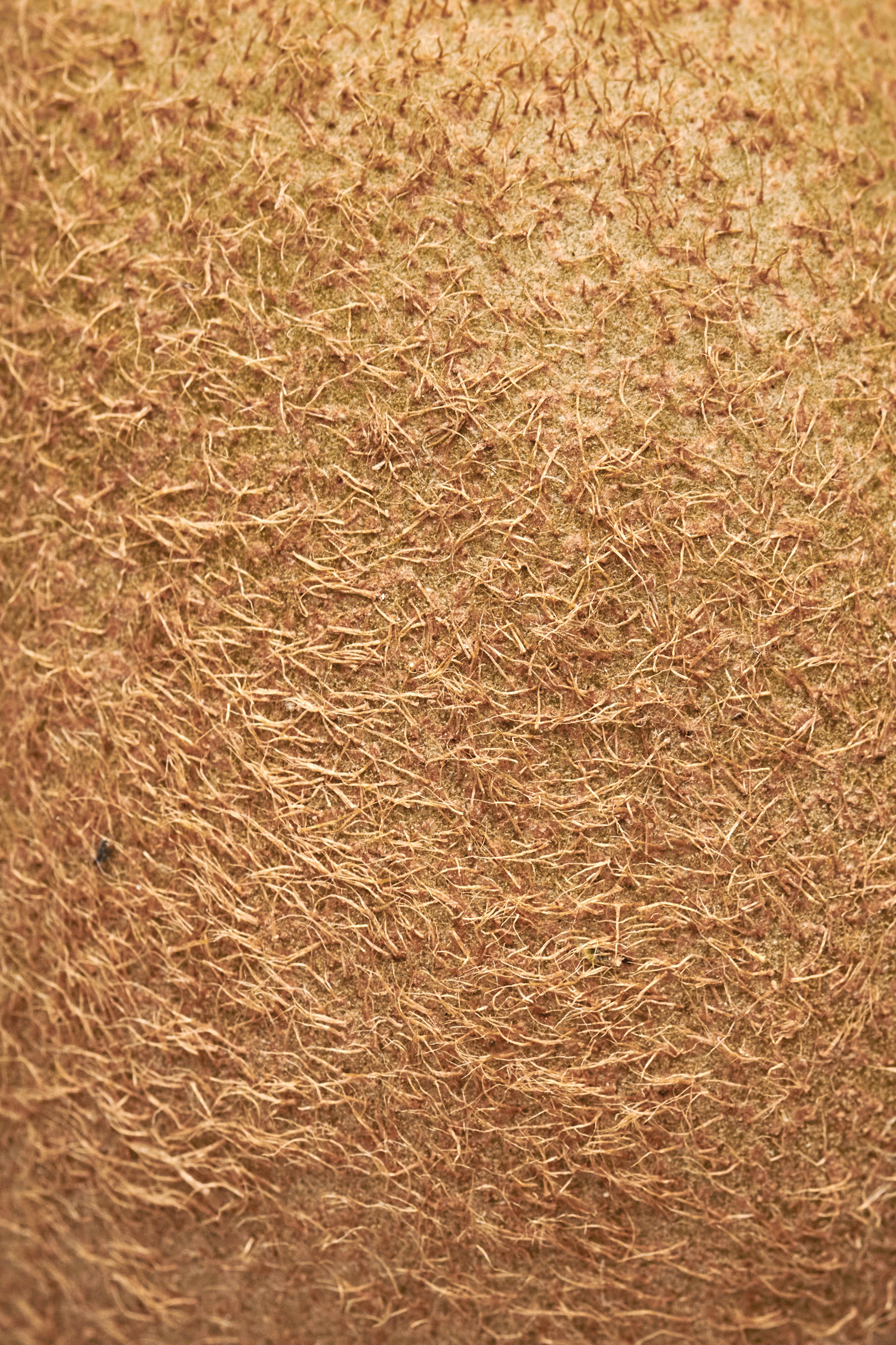 food advertising photographer 