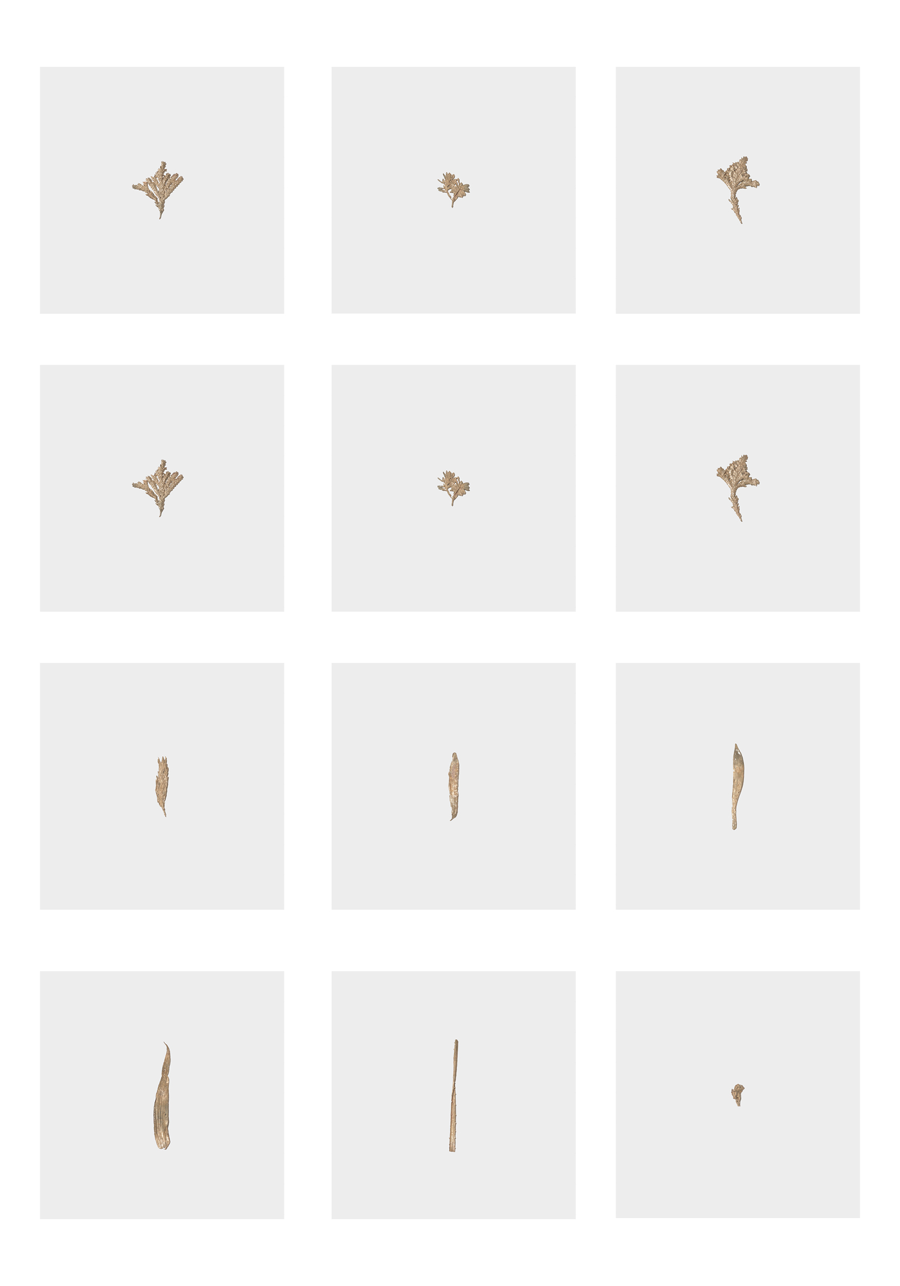 Étude paysagère • Parque natural de los Nevados, Colombie • 2020