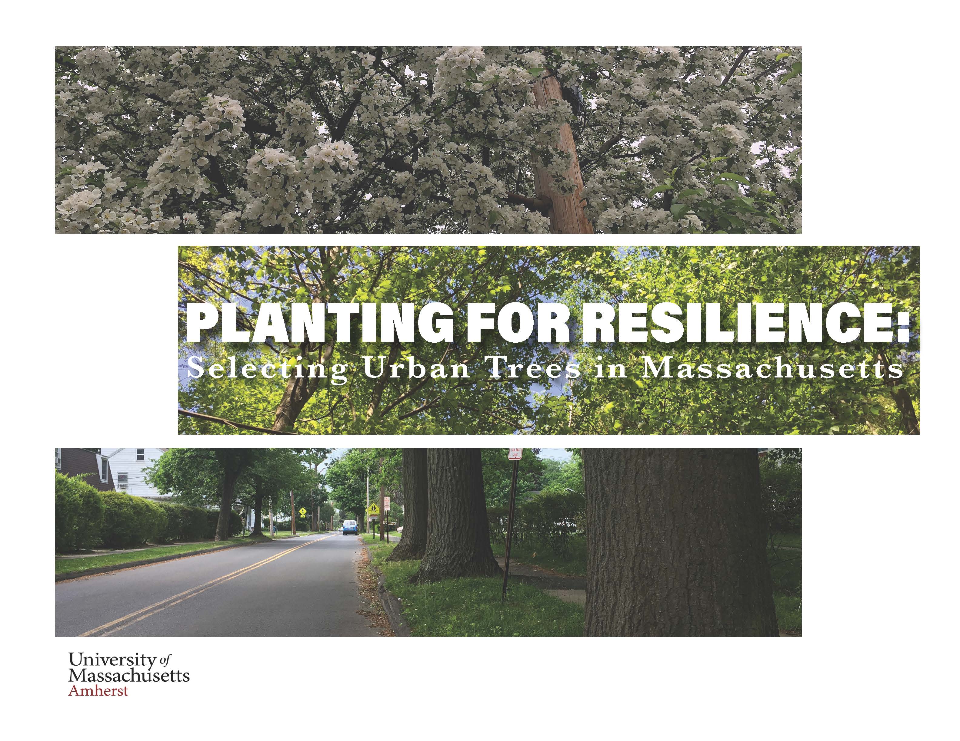 McElhinney, Ashley M. and Richard W. Harper. Planting for Resilience: Selecting Urban Trees in Massachusetts. University of Massachusetts Amherst, 2019.