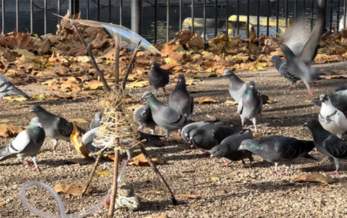 2022 Ethical Feeding Project