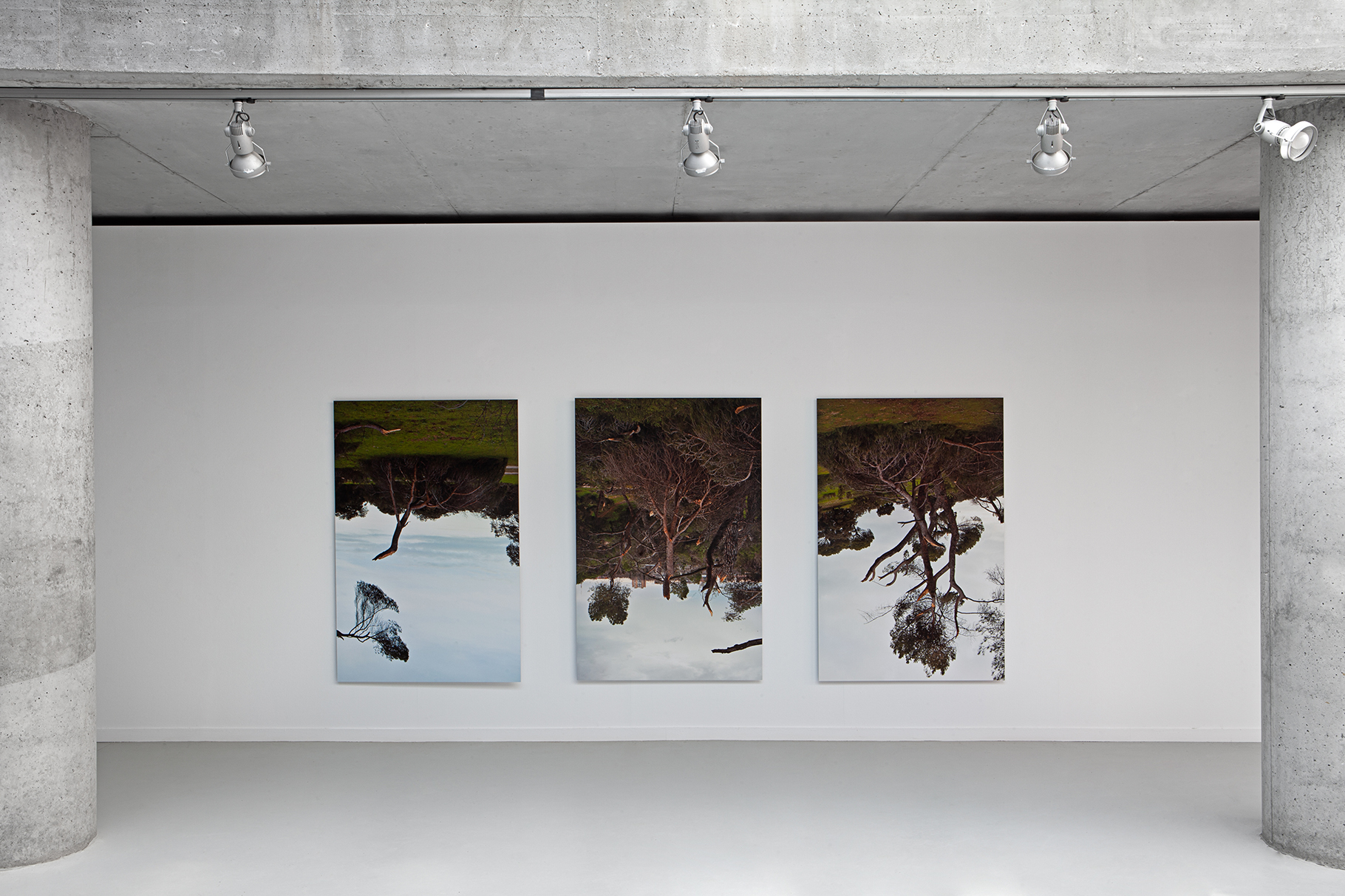 Exhibition at the Real Jardín Botánico de Madrid of the series Estado natural. With the support of the Centro Superior de Investigaciones Científicas CSIC and the Ministry of Science and Innovation, 2022