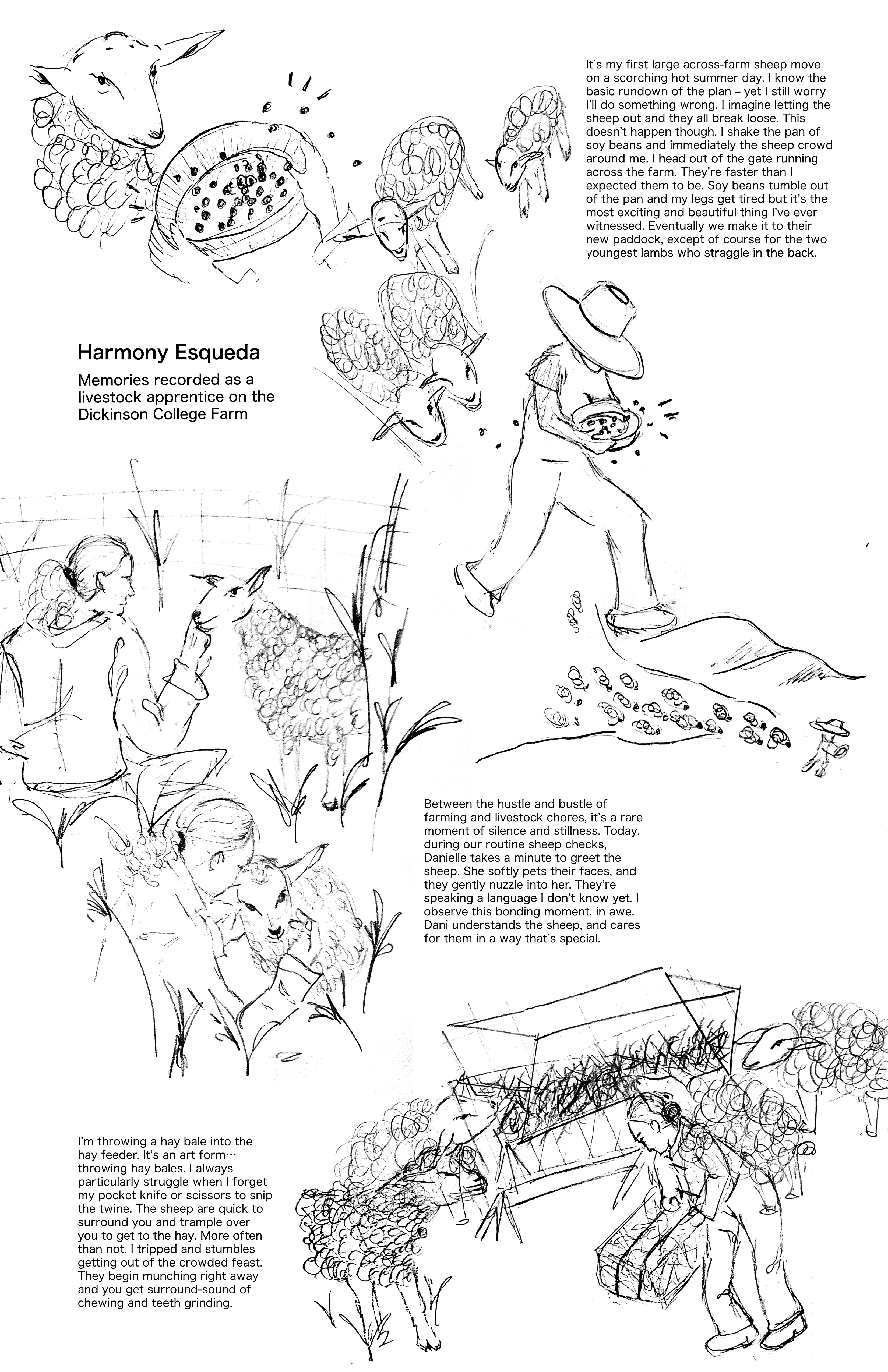 Drawings and memories by Harmony Esqueda