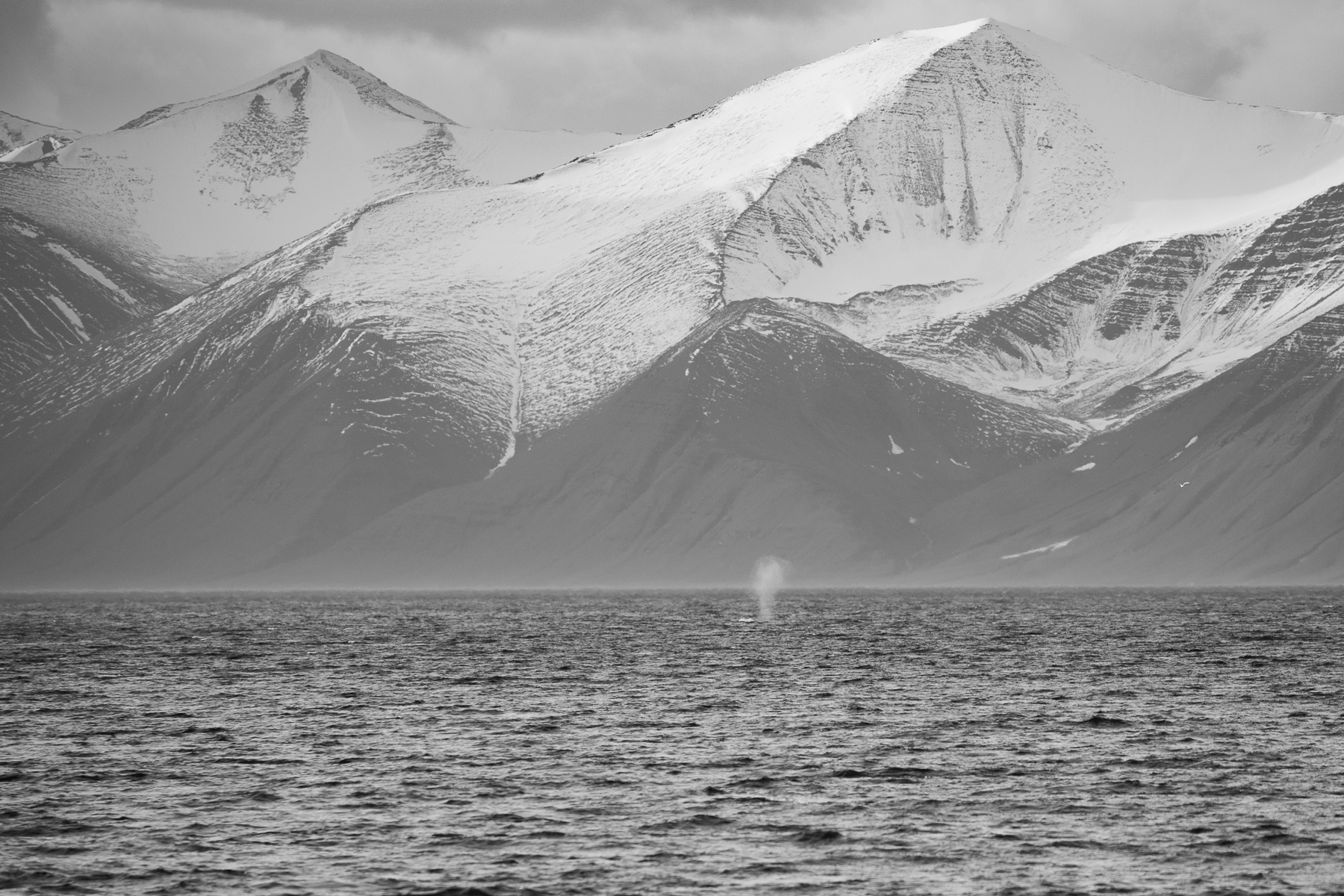 Svalbard, 2019