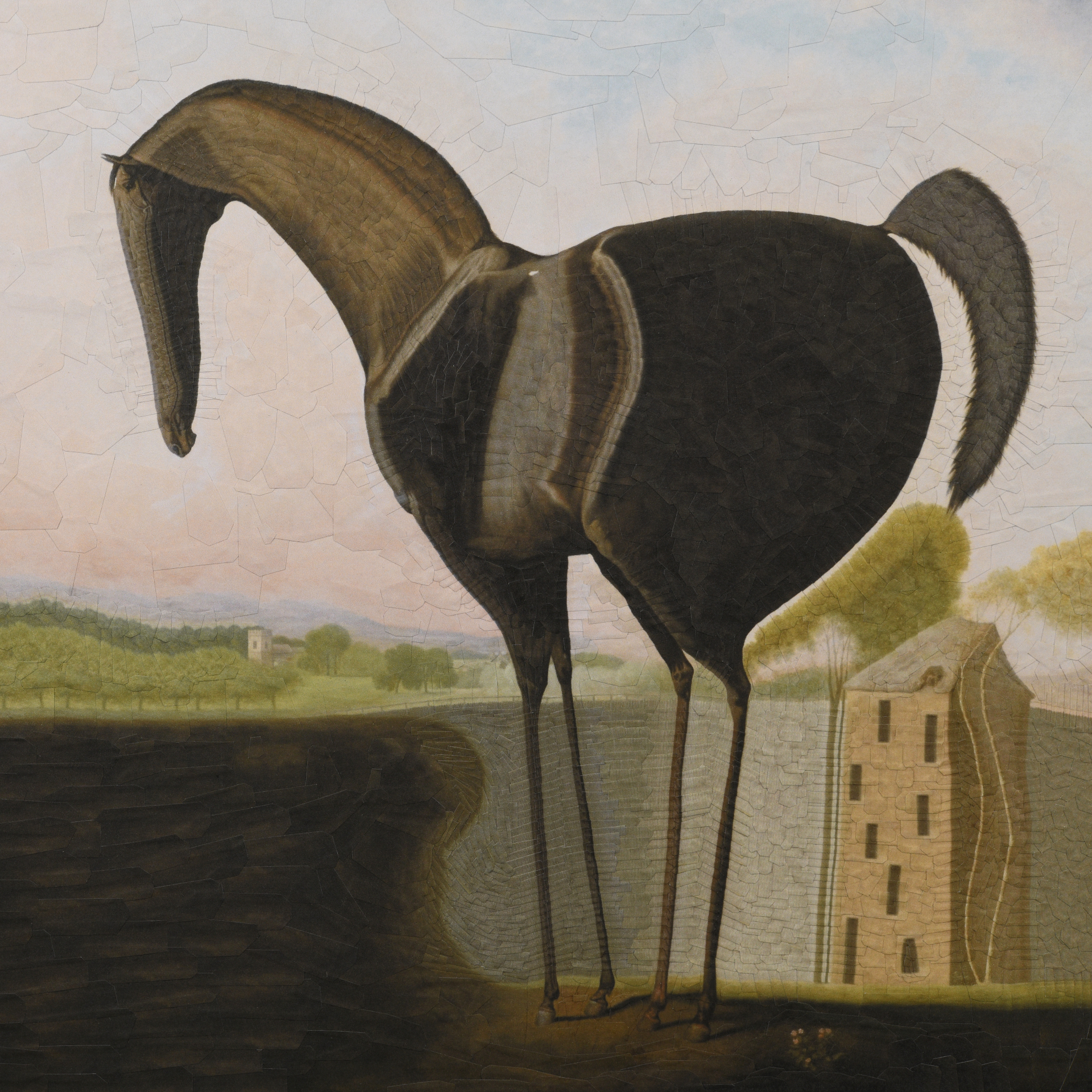 Sweet William after Stubbs, 2023, 11.8 x 11.8 inches