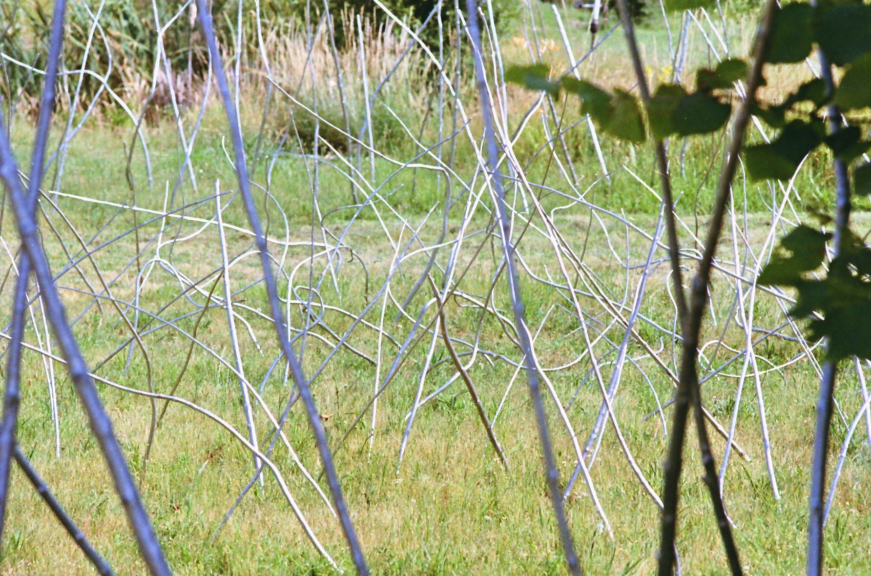 Sans Titre, Acrylique sur bois,   ⌀800 x 300 cm