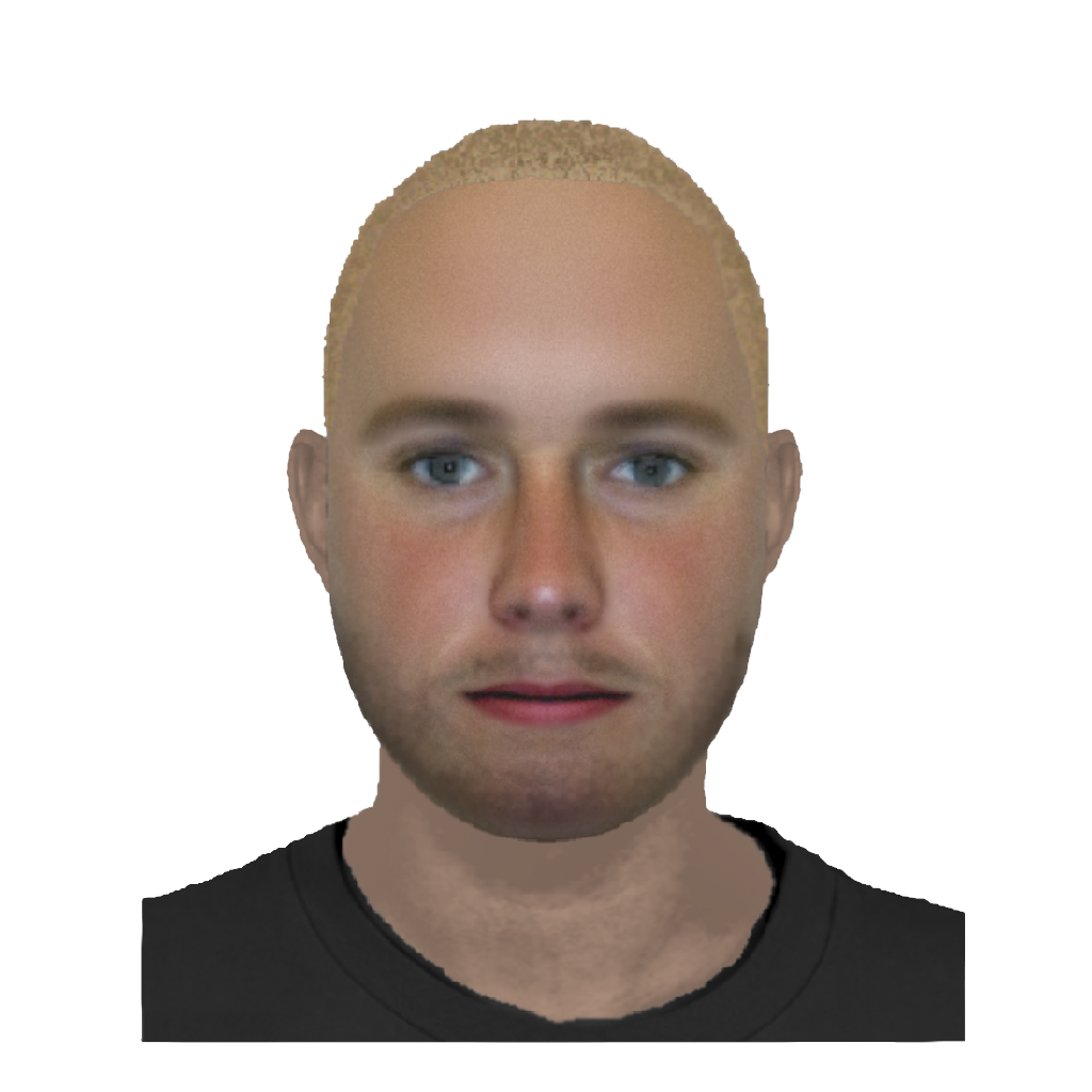 Fantomer, 2010-2012  Digital identikit images  Niklas