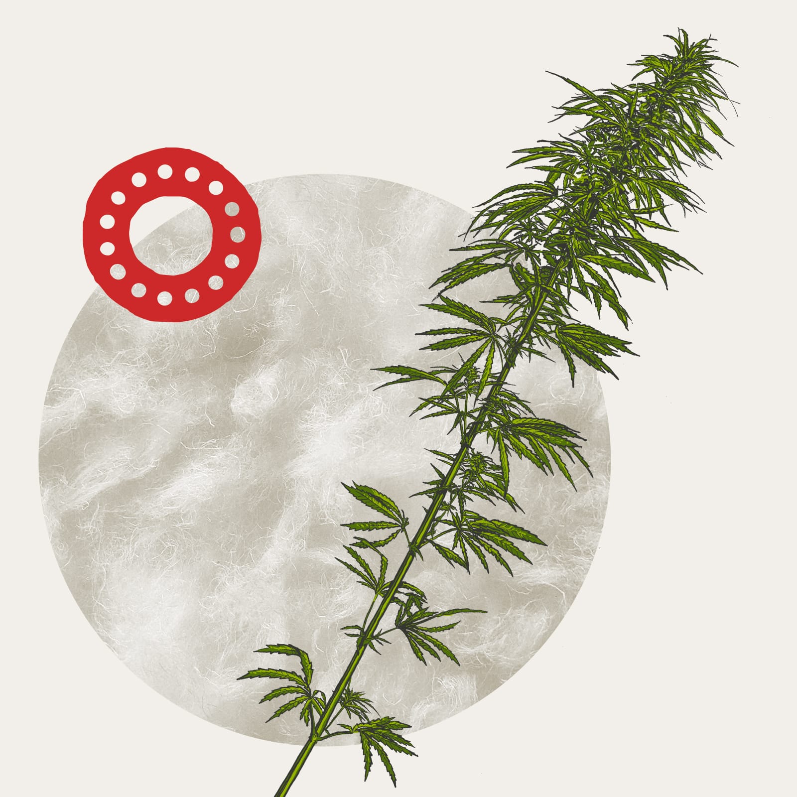 Bast Fibre Tech website, 2023