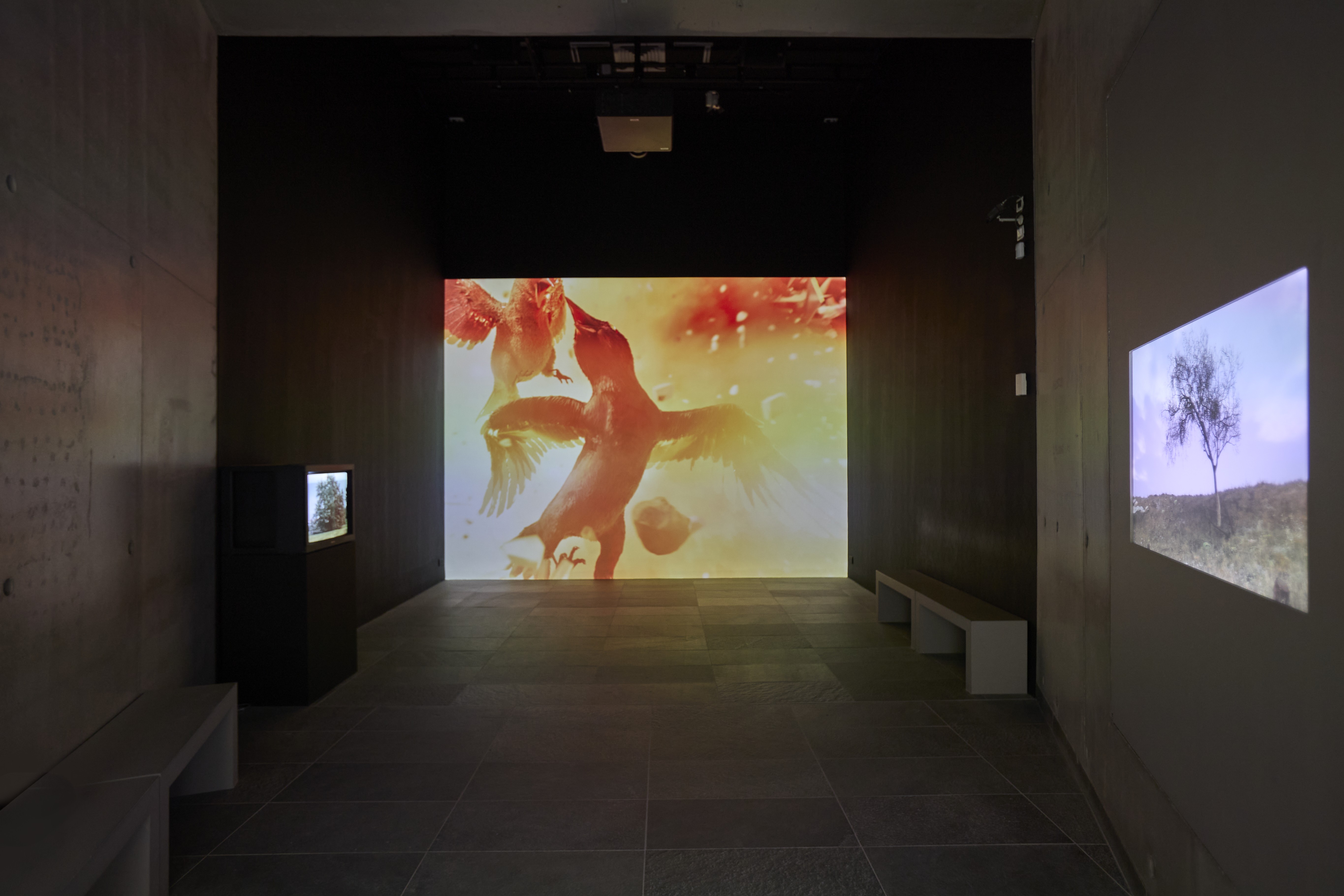 2025 photo Laëtitia Striffling-Marcu @Musée de l'Orangerie