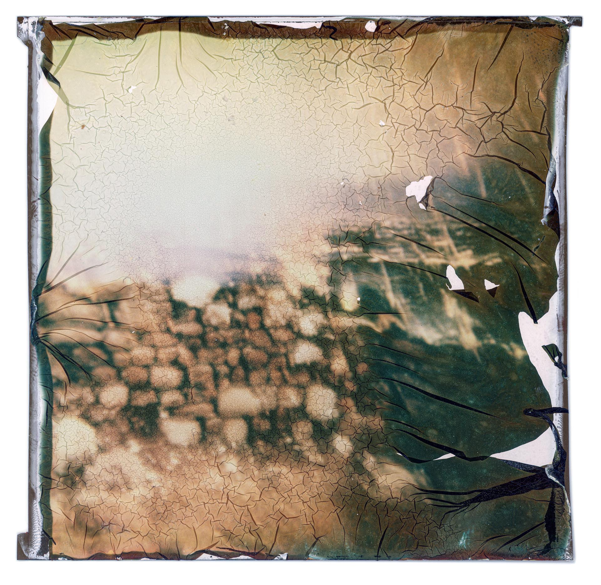 God Destroys Sodom and Gomorrah with Fire from Heaven