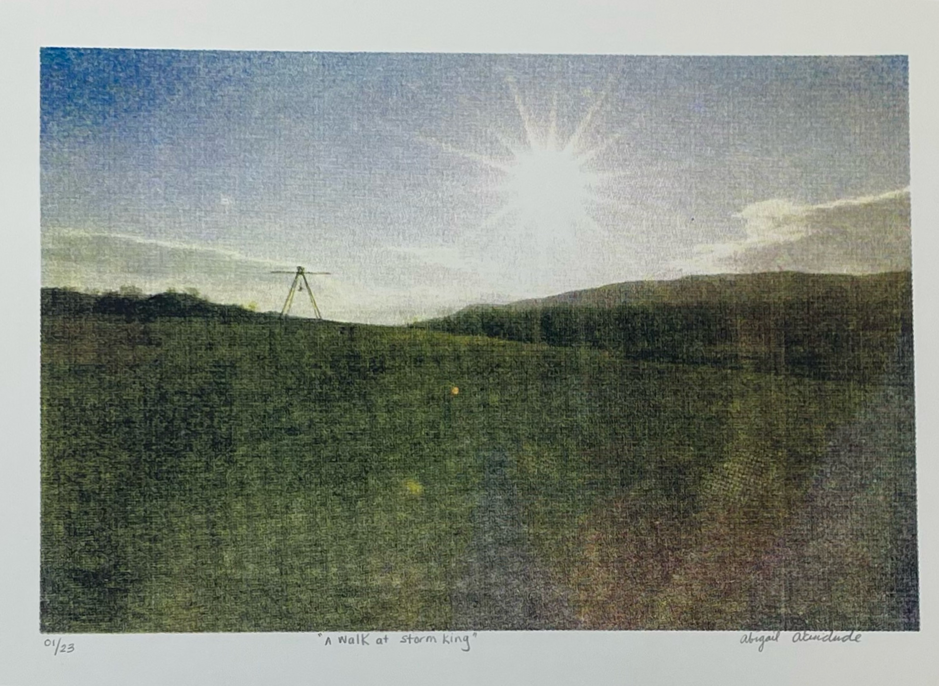 A Walk at Storm King CMYK Silkscreen on paper 11"x15"