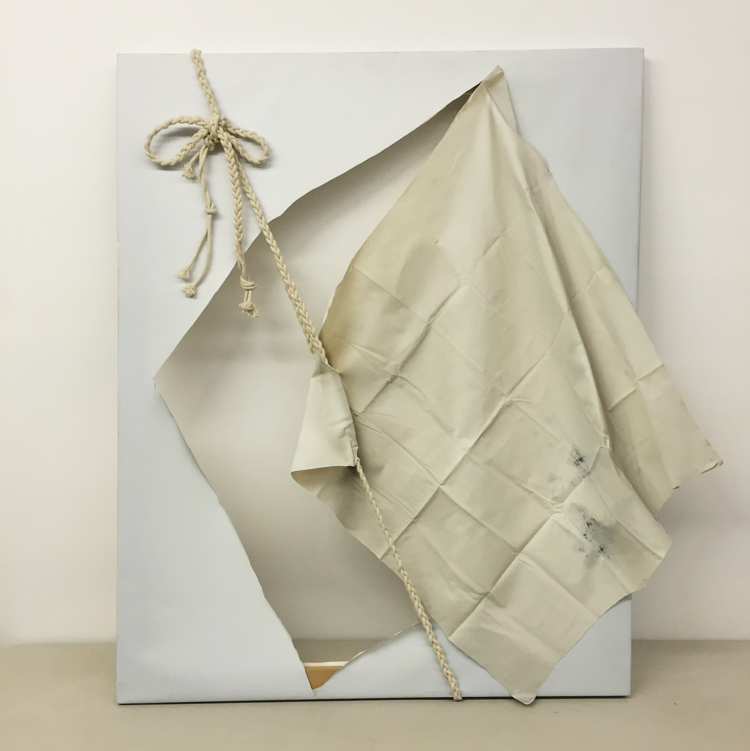 "Ouroboros 4"50"x40" inkjet printed canvas on stretcher, cotton rope