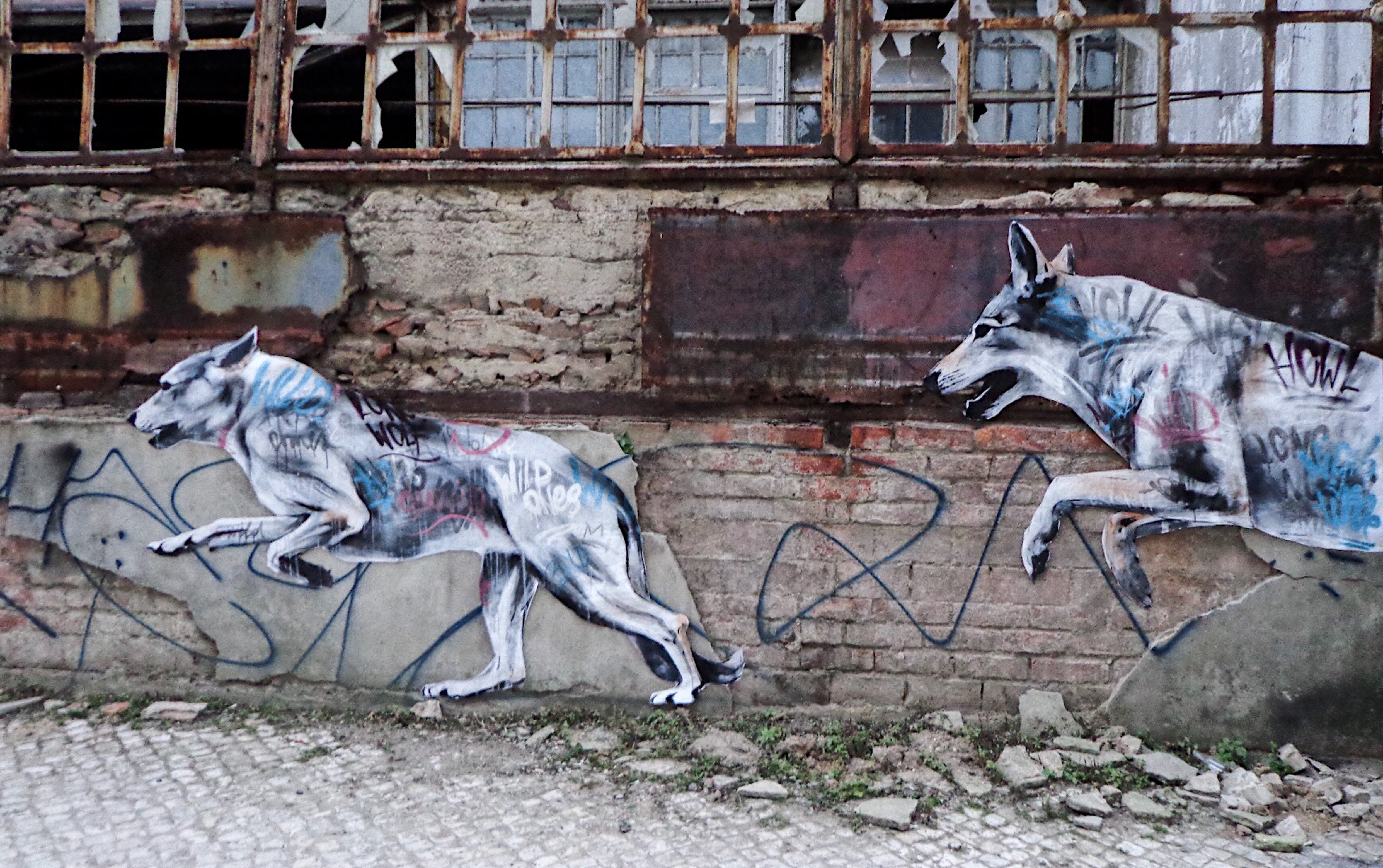 "RUN BABY RUN" Lisbon 2017, PT