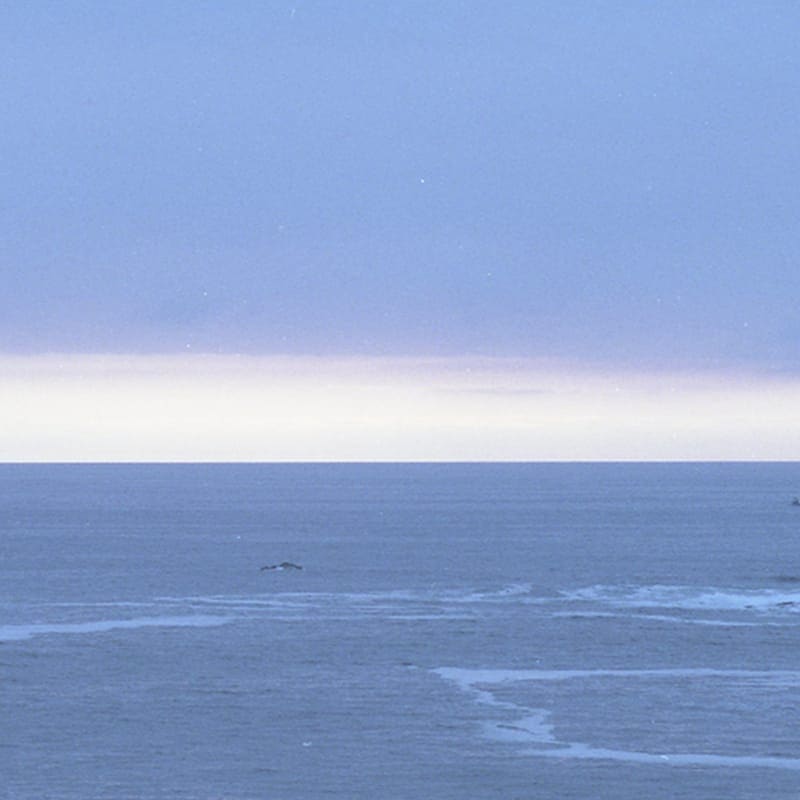 transience #22 with Lou Drago and Vedis