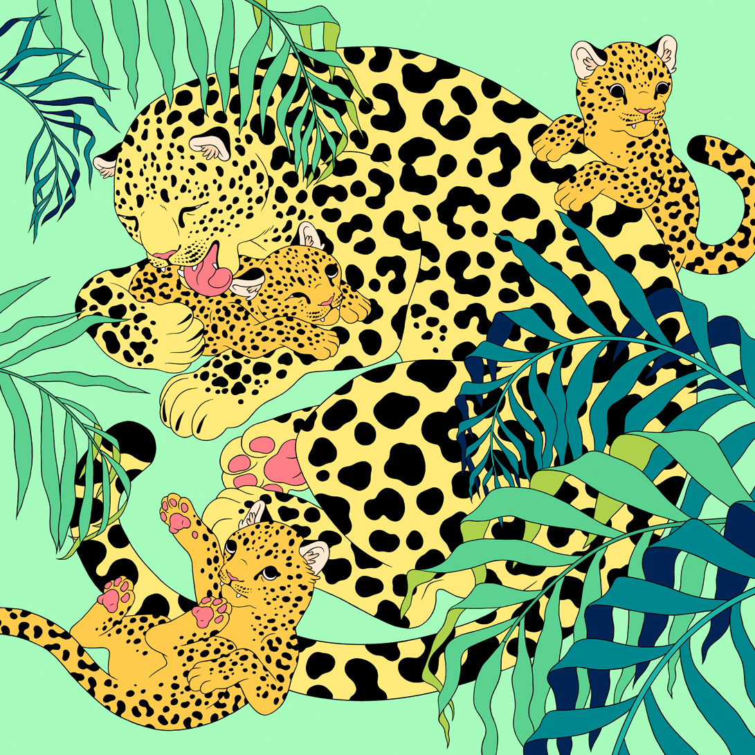 Apps for Earth for Recolor App by Sumoing, 2016