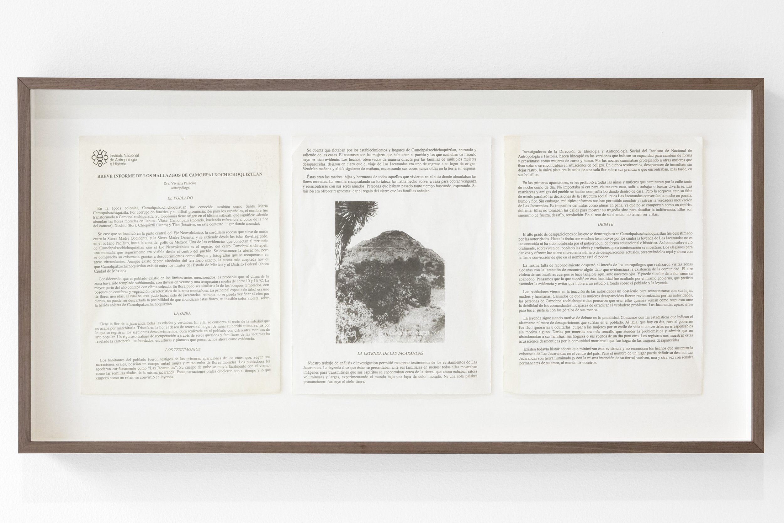"Breve informe de los hallazgos de Camohpalxochichoquiztlan", in collaboration with Estefania Arista, 18" x 34", 2022