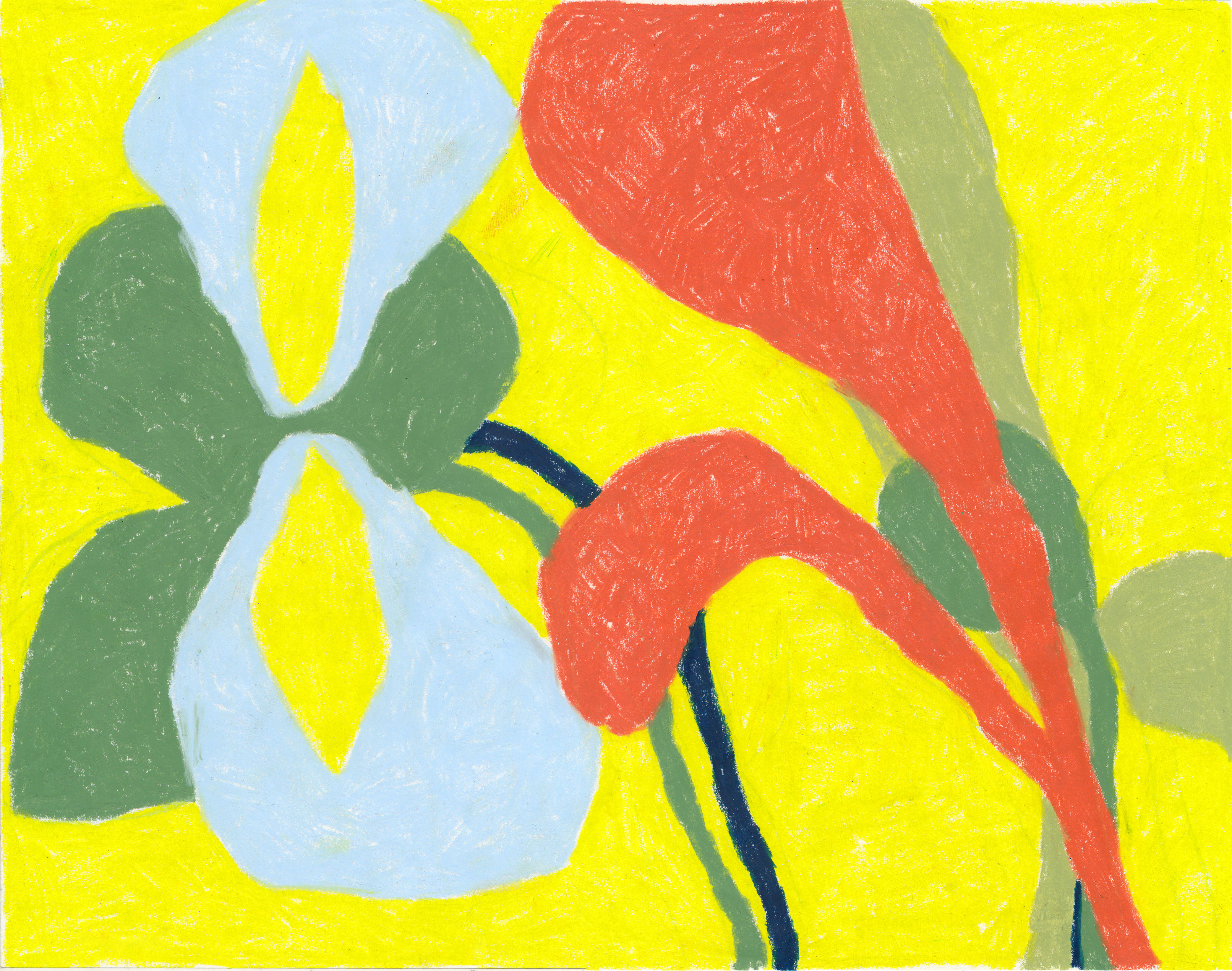 Seedling Study I, wax pastel on paper, 2020