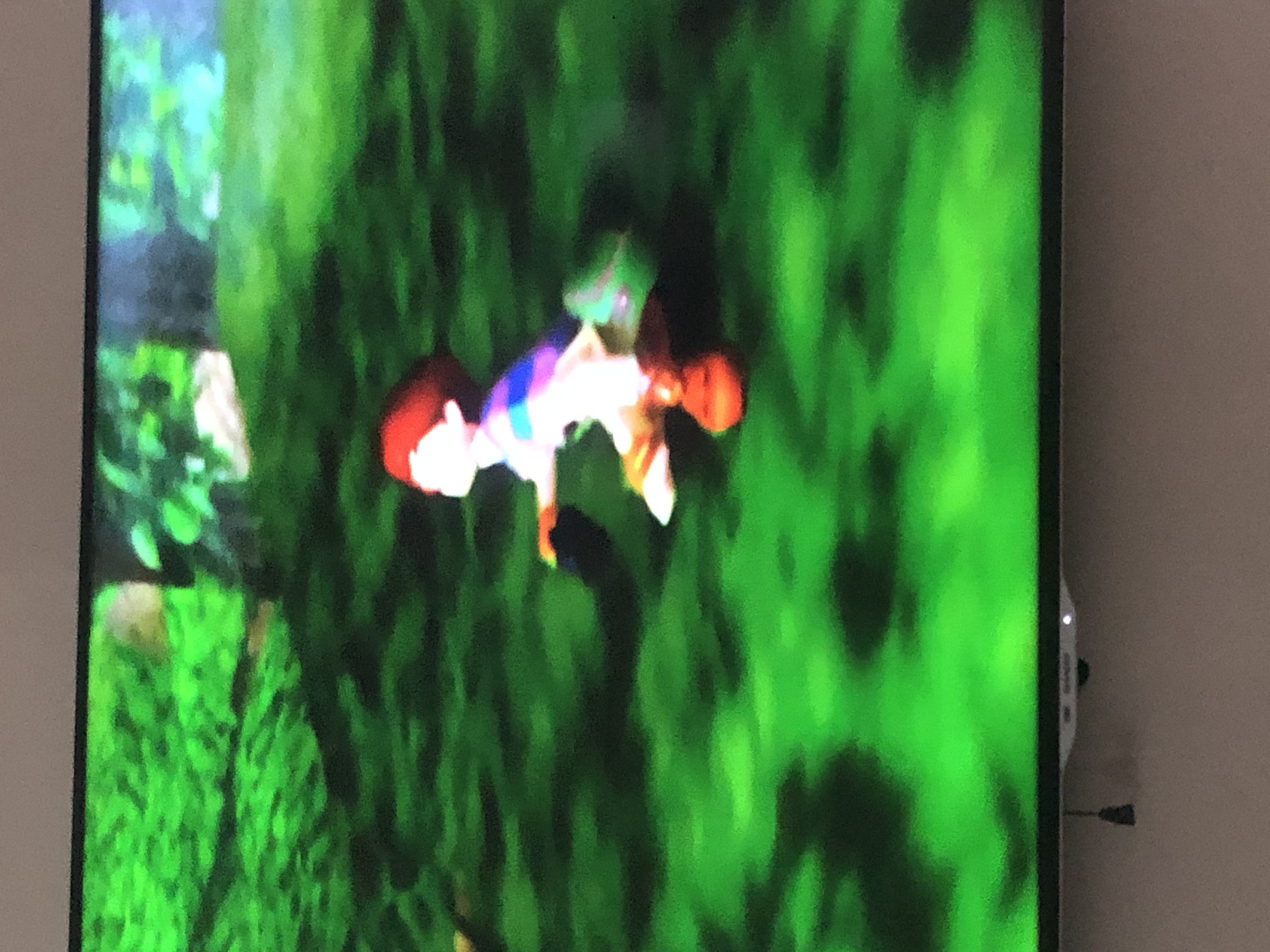 Todd from Pokemon Snap