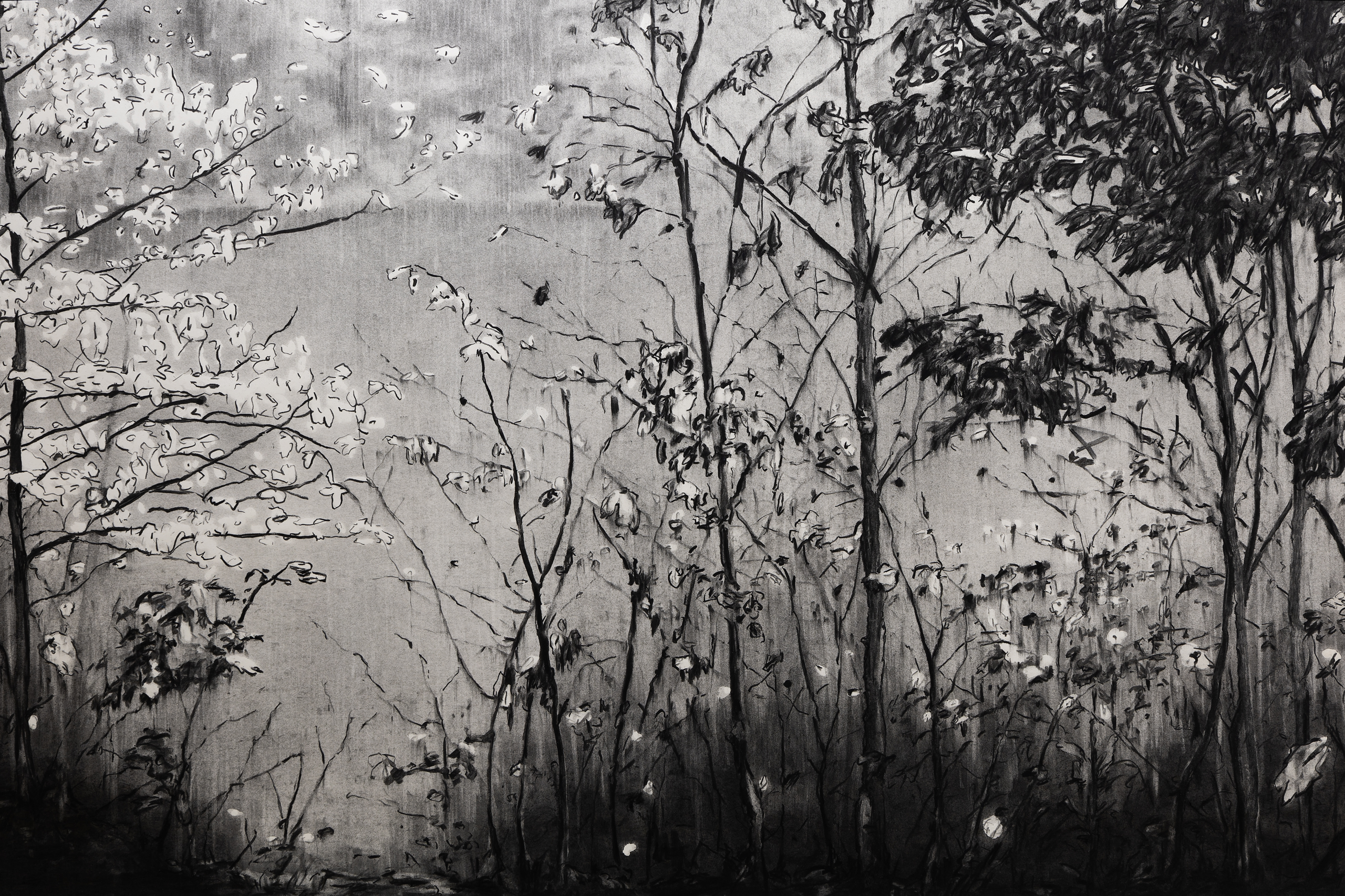 Origins 2 (Detail)