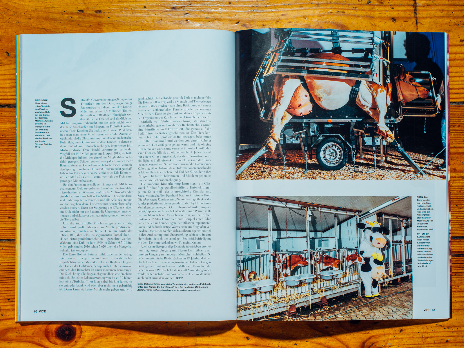 VICE / Hornless Heritage Serie als Coverstory, Juli 2017