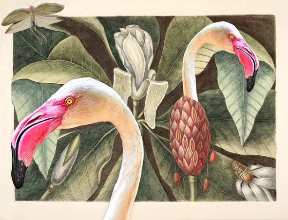 Regina Lafay Bellamy