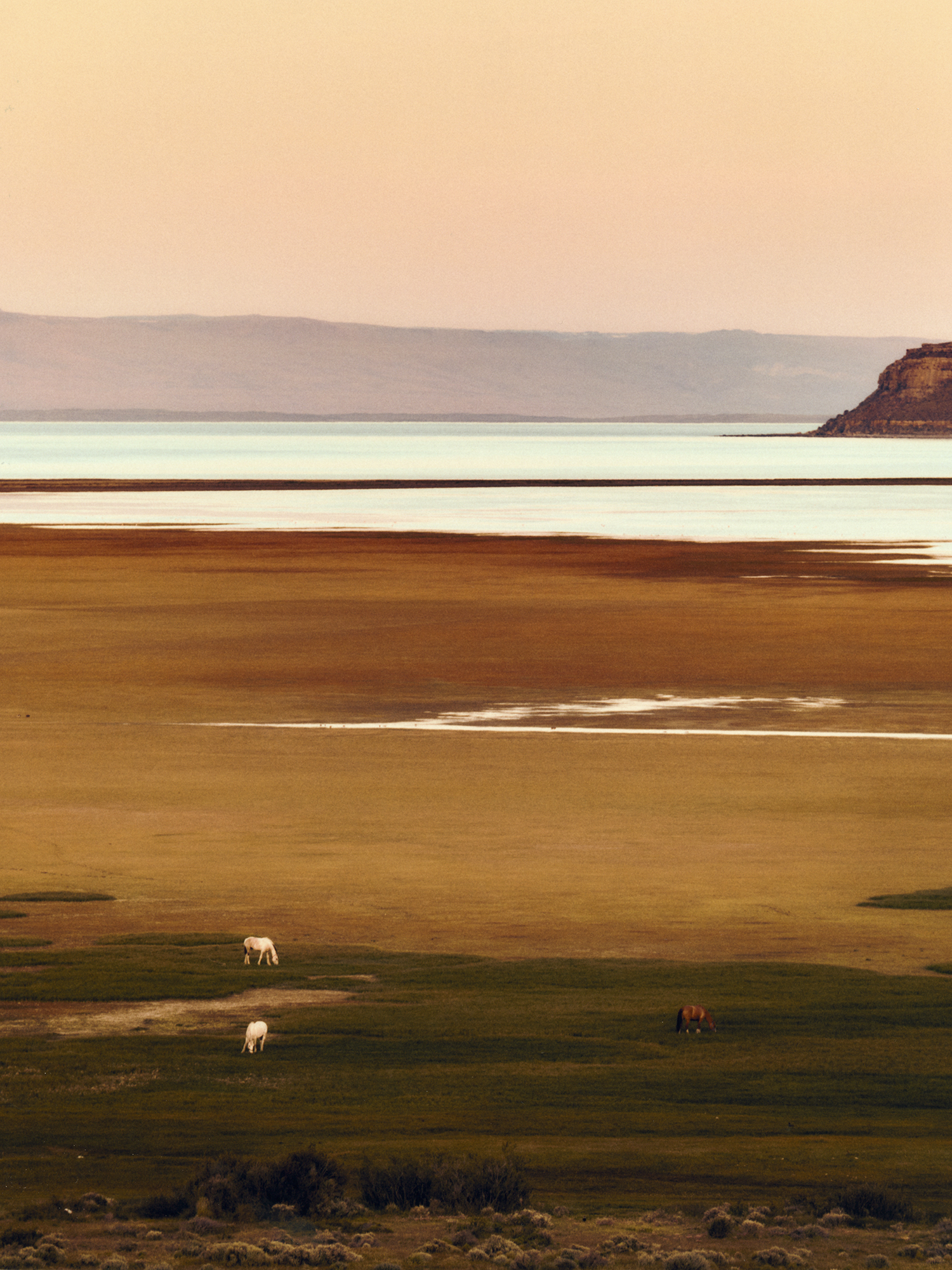 PATAGONIA, AIR FRANCE