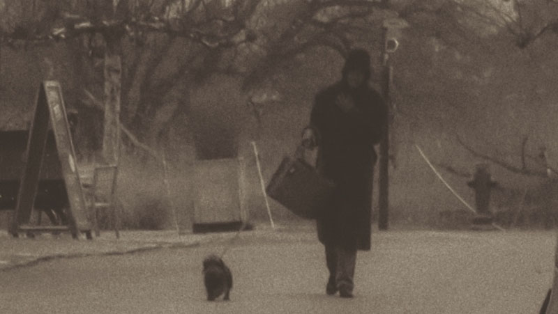 Ein stiller Tanz auf der Strasse &ndash; jeder Schritt improvisiert.