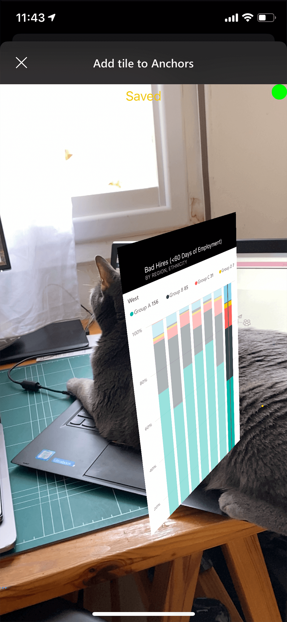 Testing "Data in Space" in the first version, with the help of my cat.