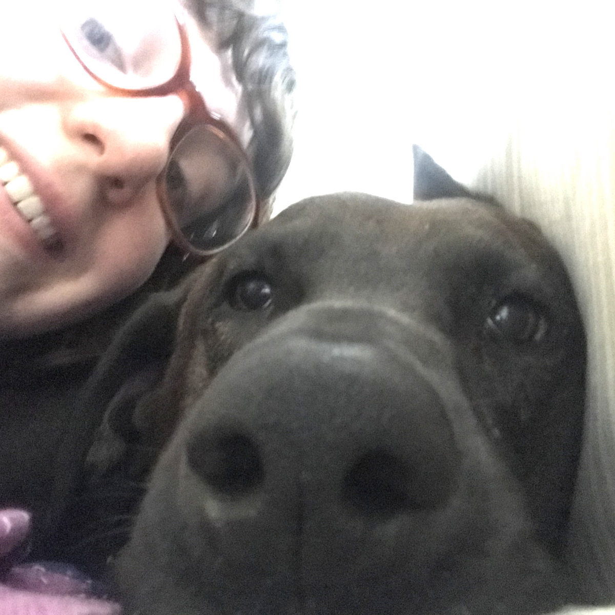 "I miss my dog" November 2023. Self Release.