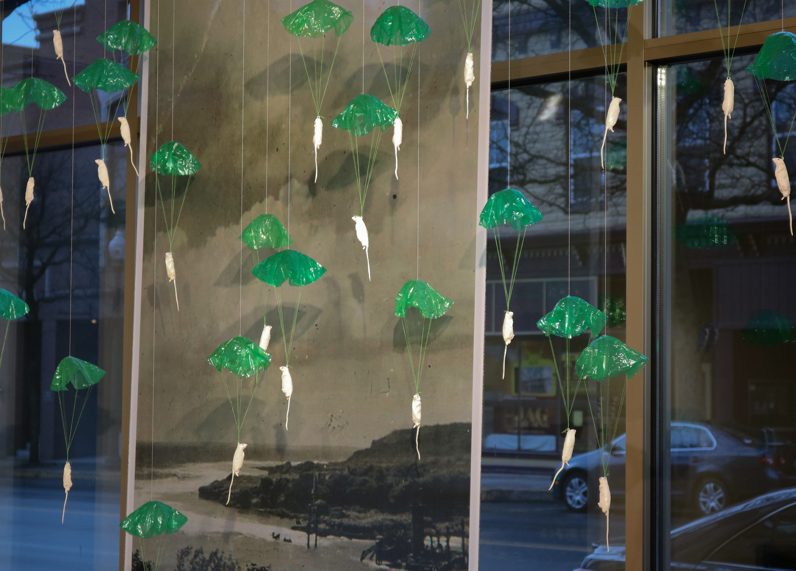 "Mouse Paratroopers," (installation view) Plastic cast mice made from feeder mice (bred to be eaten by snakes and other reptiles), toy parachutes, fabric backdrop of aerial photo of Guam inkjet print of photograph of WWII aircraft dump on Guam, letter