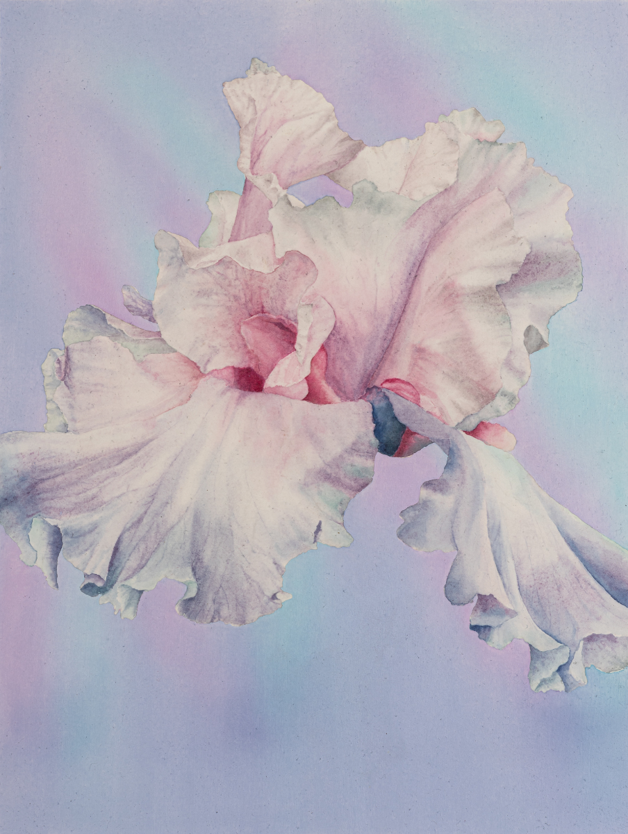 untitled, oil and watercolor on paper, 41 x 31 cm, 2020