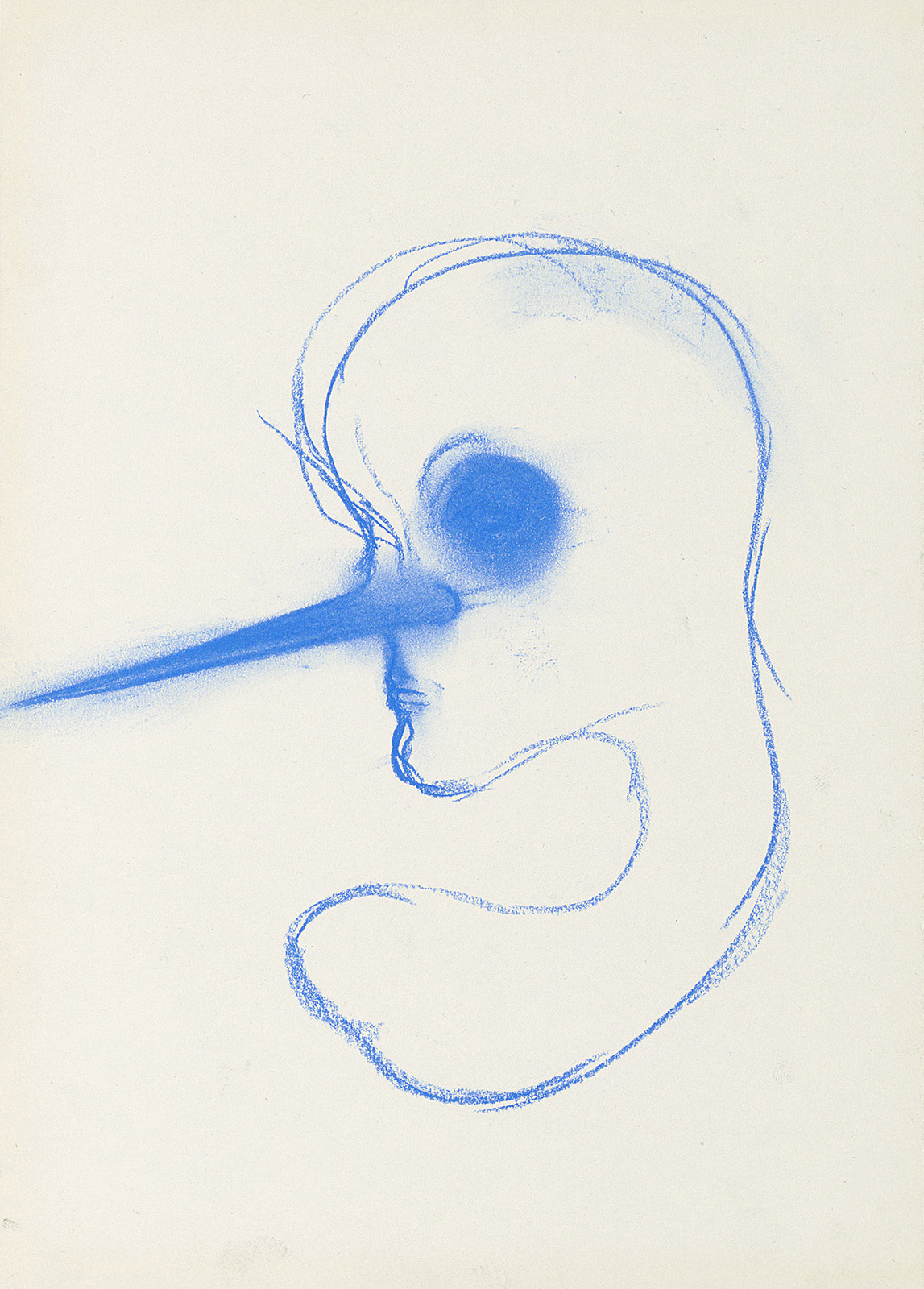 Horn, 2014, pastel on paper, 28.5x20.5