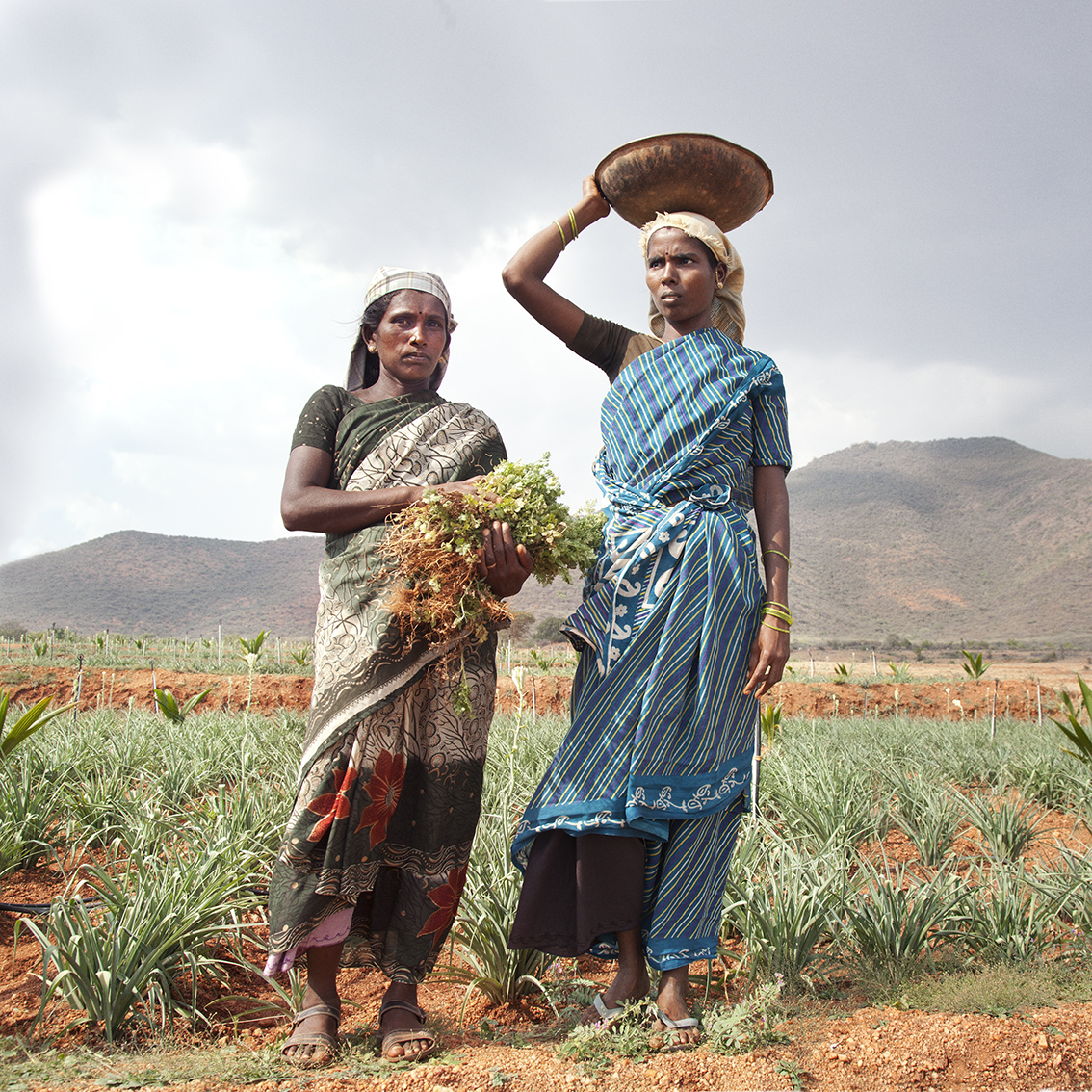 Indian Workers - Reportage NGO, 2016