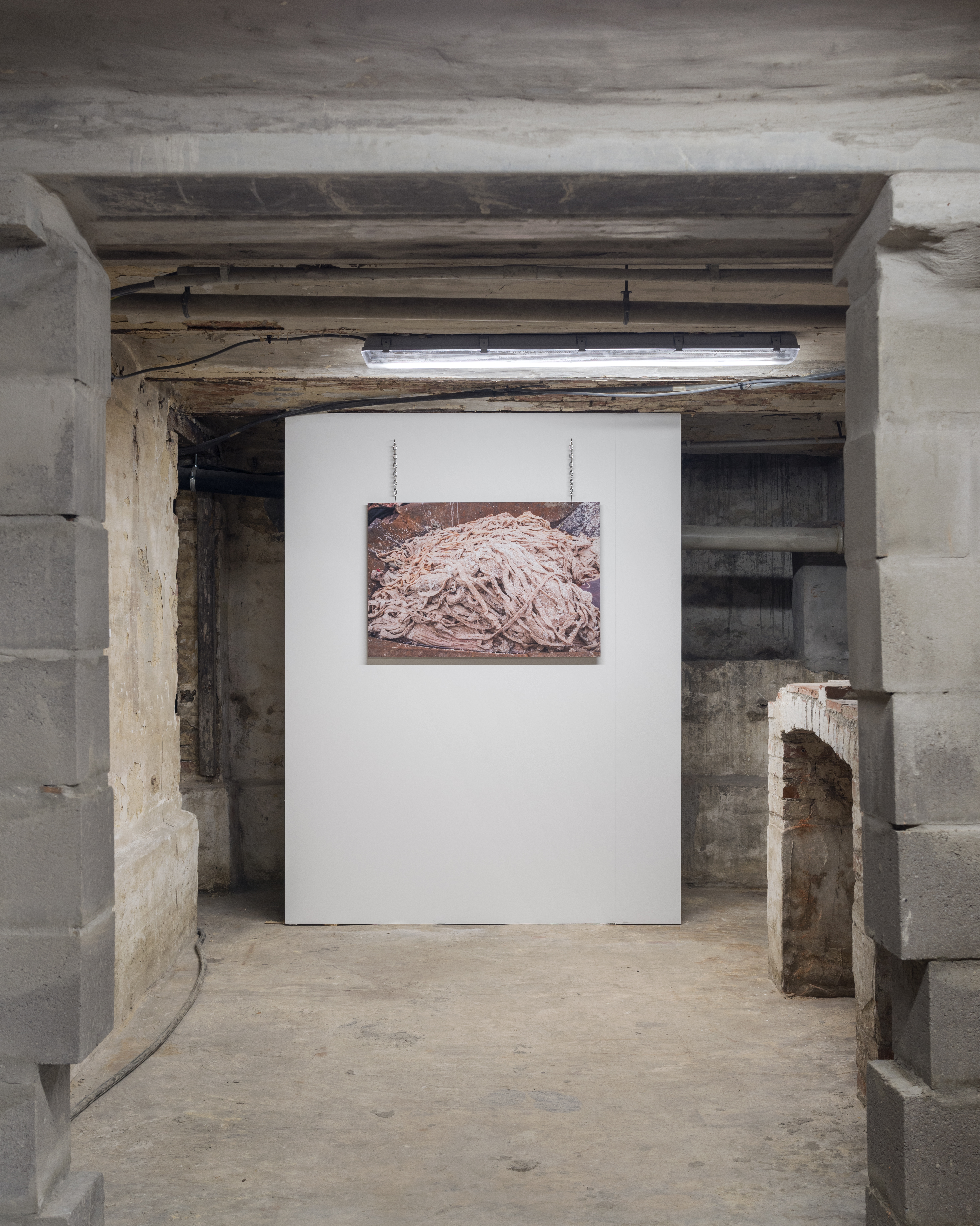 P|cture by Fabien Silvestre Suzor